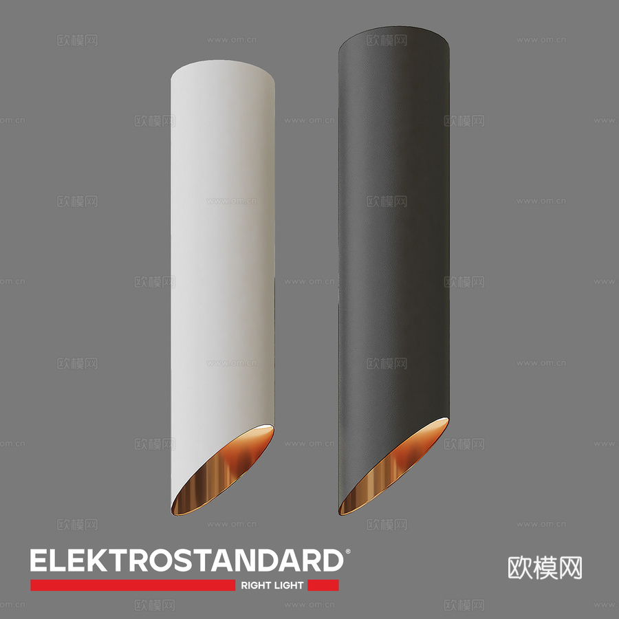OM 天花板重点照明灯 Elektrostandard DL3d模型下载