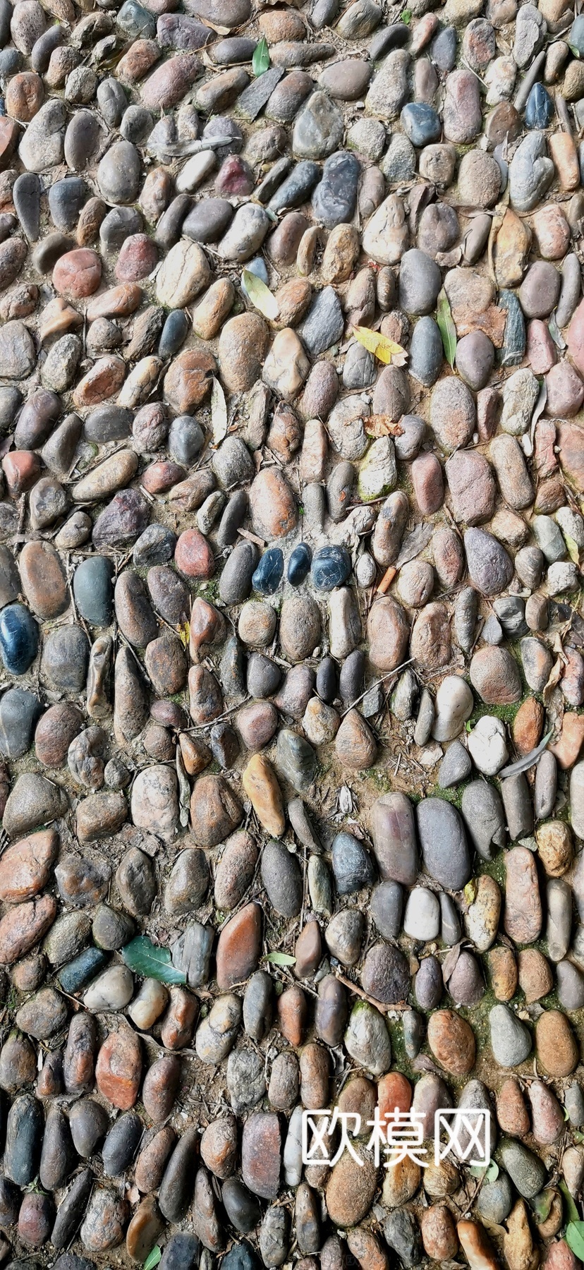 鹅卵石