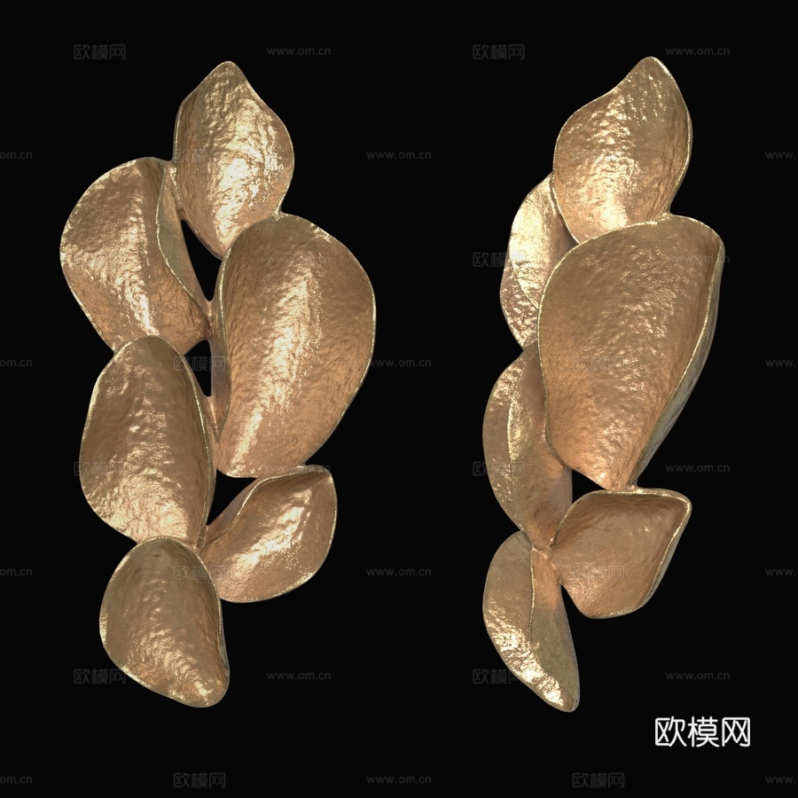 OM Pectinia3d模型下载