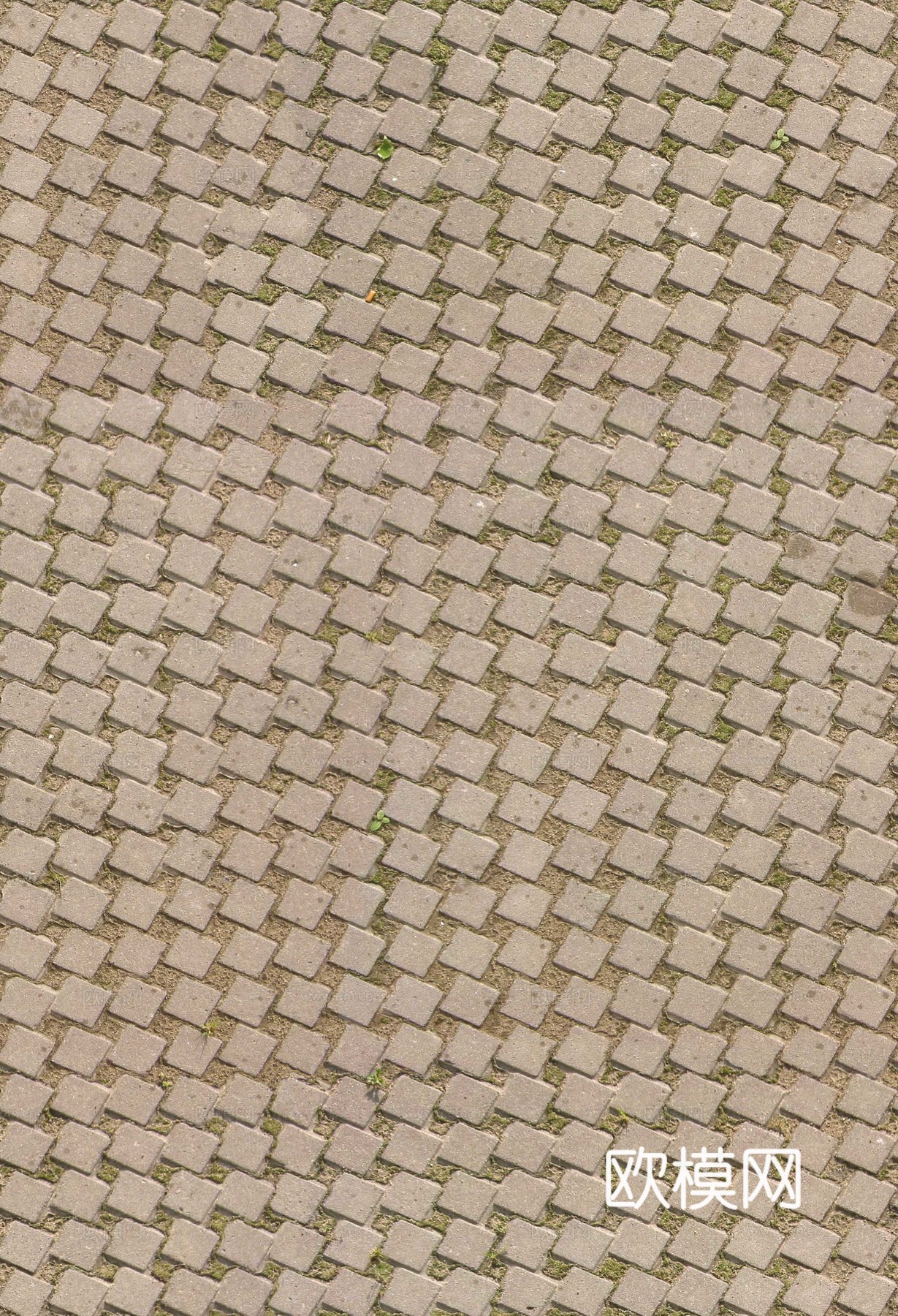 砖墙瓷砖花纹仿古砖水泥砖下载（渲染图2）