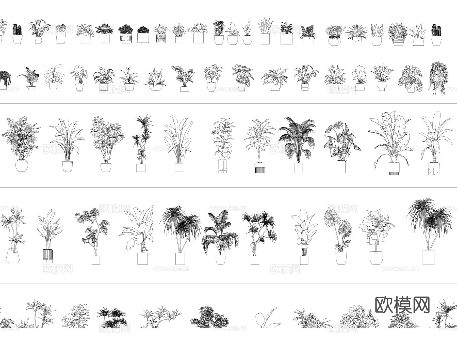 绿植 植物盆栽 盆景 室内盆栽 花卉cad施工图下载（渲染图3）