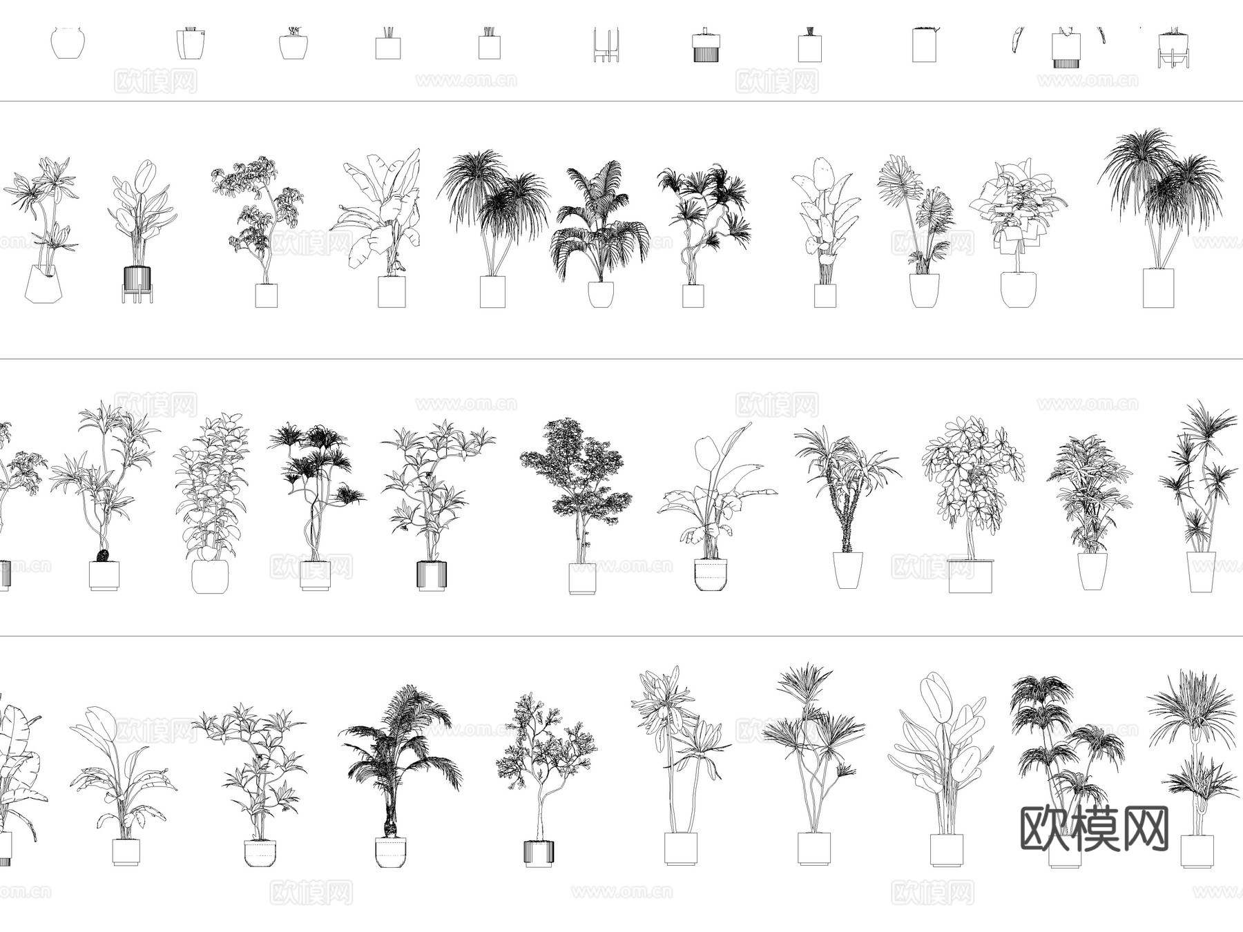 绿植 植物盆栽 盆景 室内盆栽 花卉cad施工图下载（渲染图4）