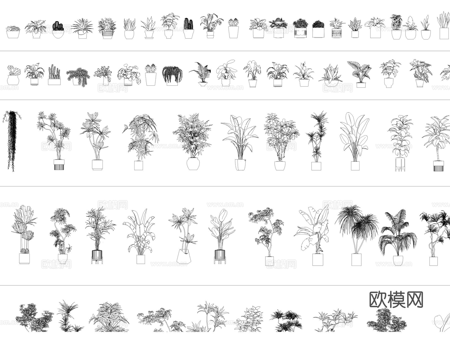 绿植 植物盆栽 盆景 室内盆栽 花卉cad施工图下载（渲染图2）