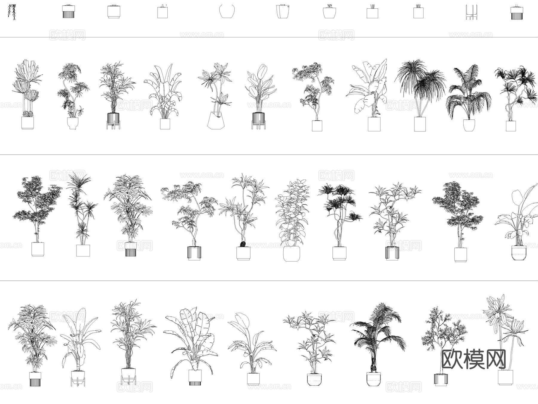绿植 植物盆栽 盆景 室内盆栽 花卉cad施工图下载（渲染图5）