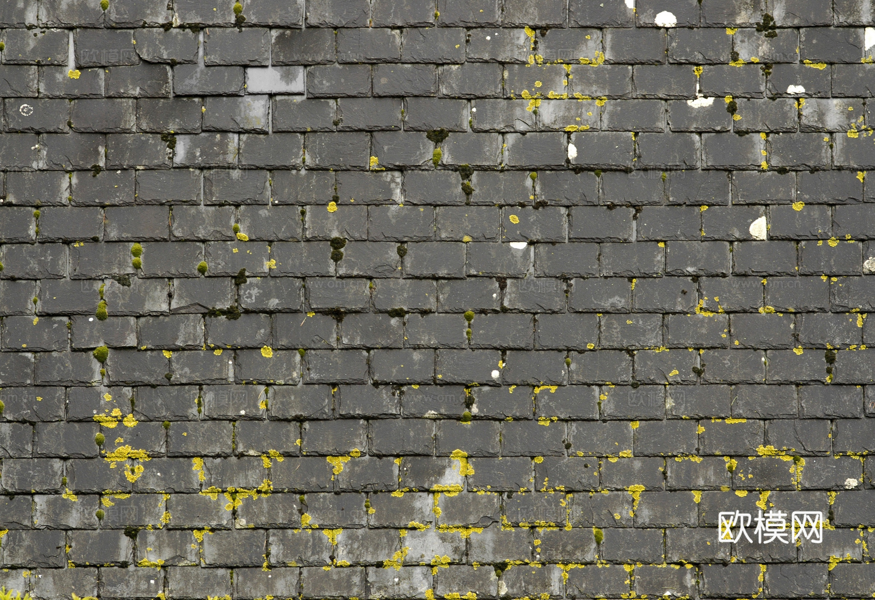 砖墙瓷砖花纹仿古砖水泥砖下载（渲染图2）