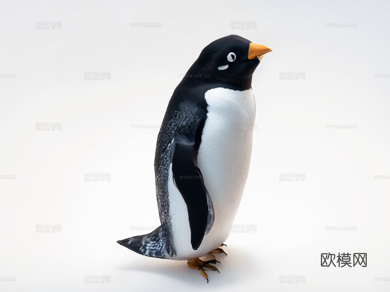 小企鹅su模型