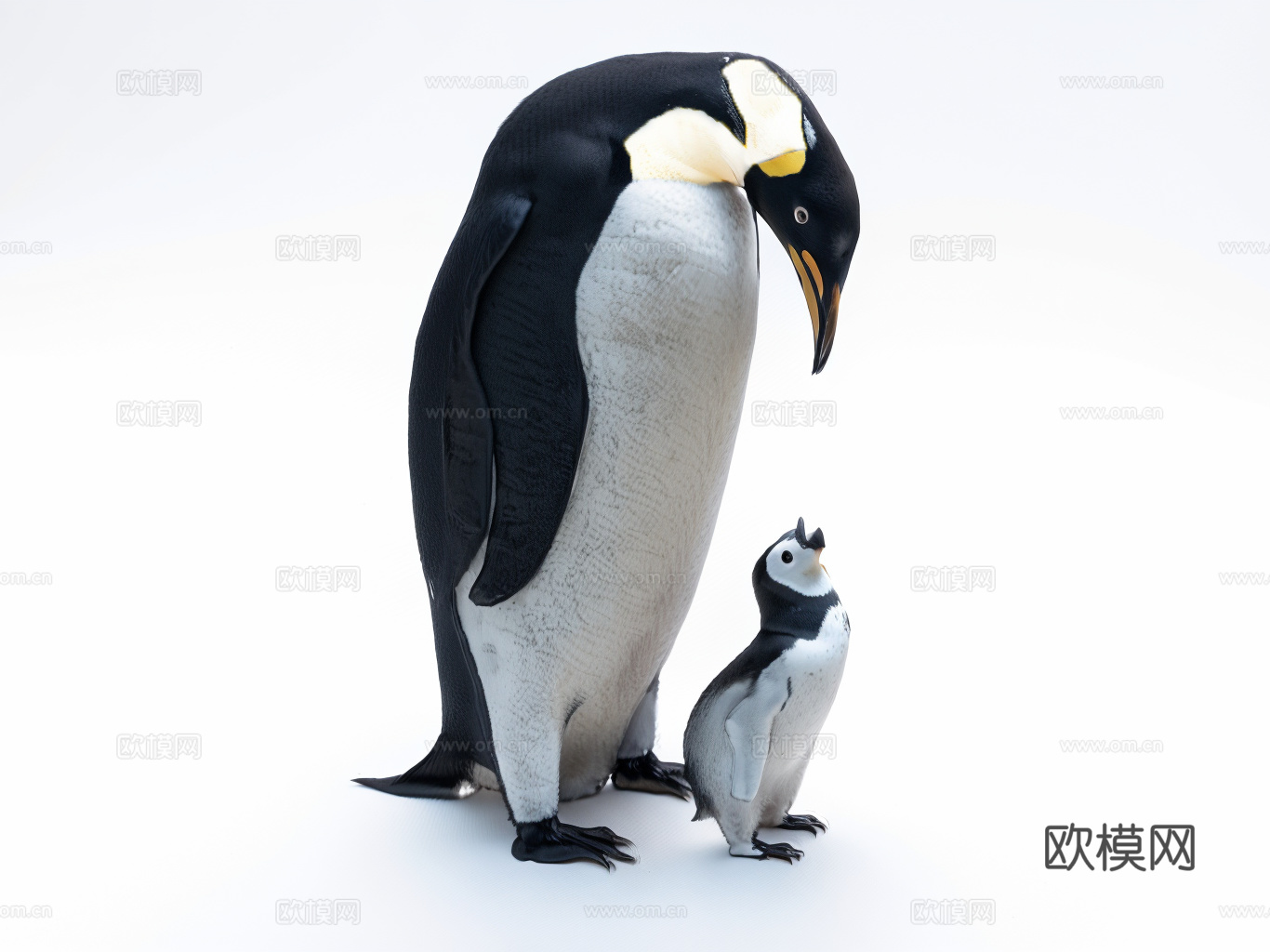 企鹅su模型