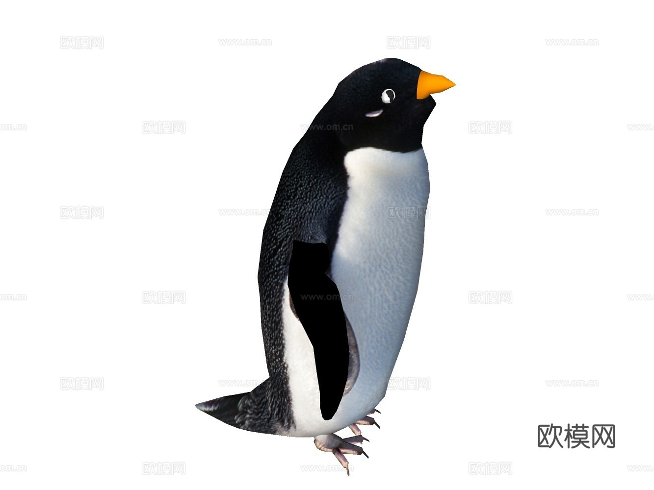 小企鹅su模型