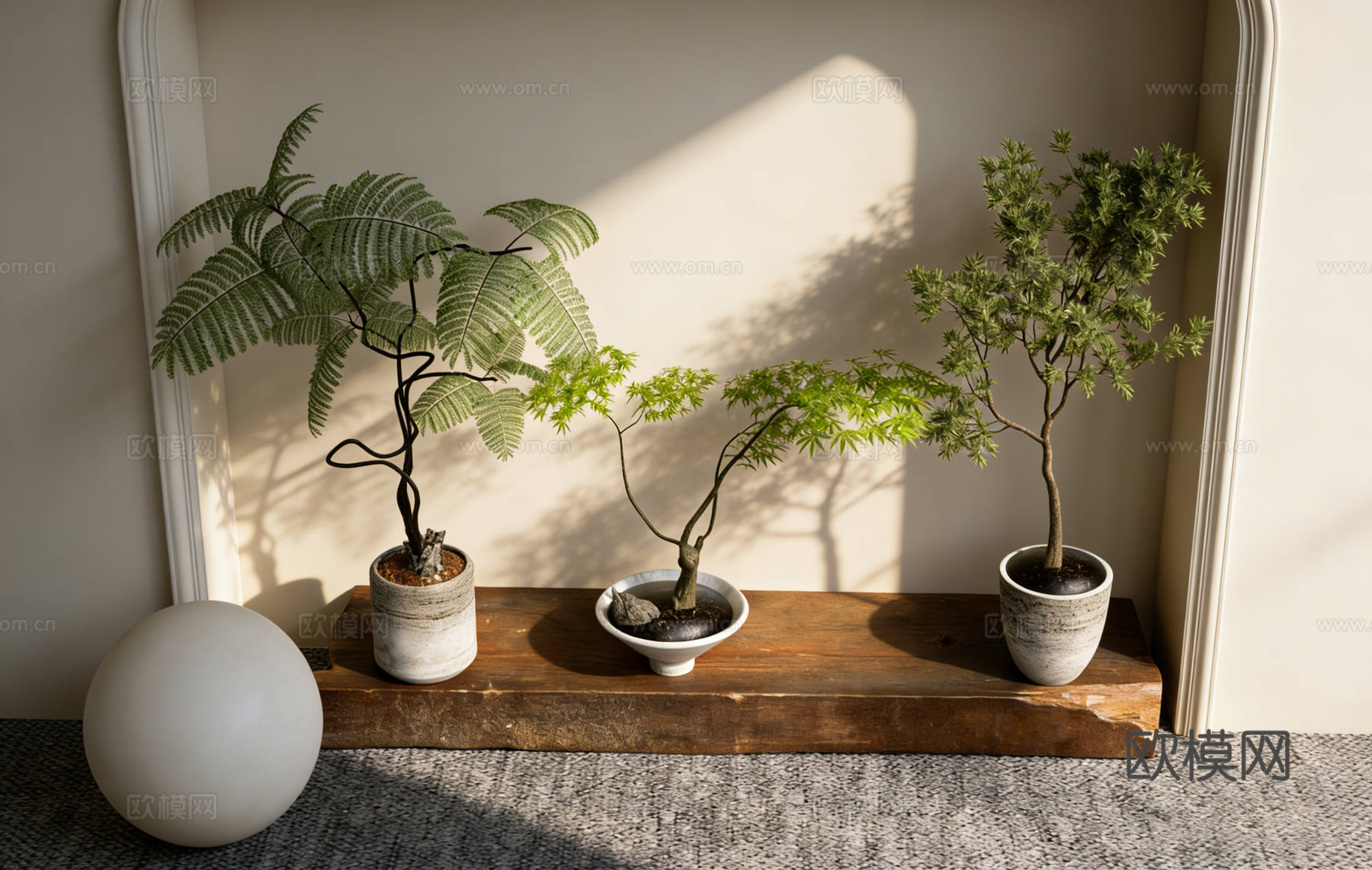 大型琴叶榕盆栽 仿真绿植 长方形实木纹理展示台 陈列台拍摄台su模型