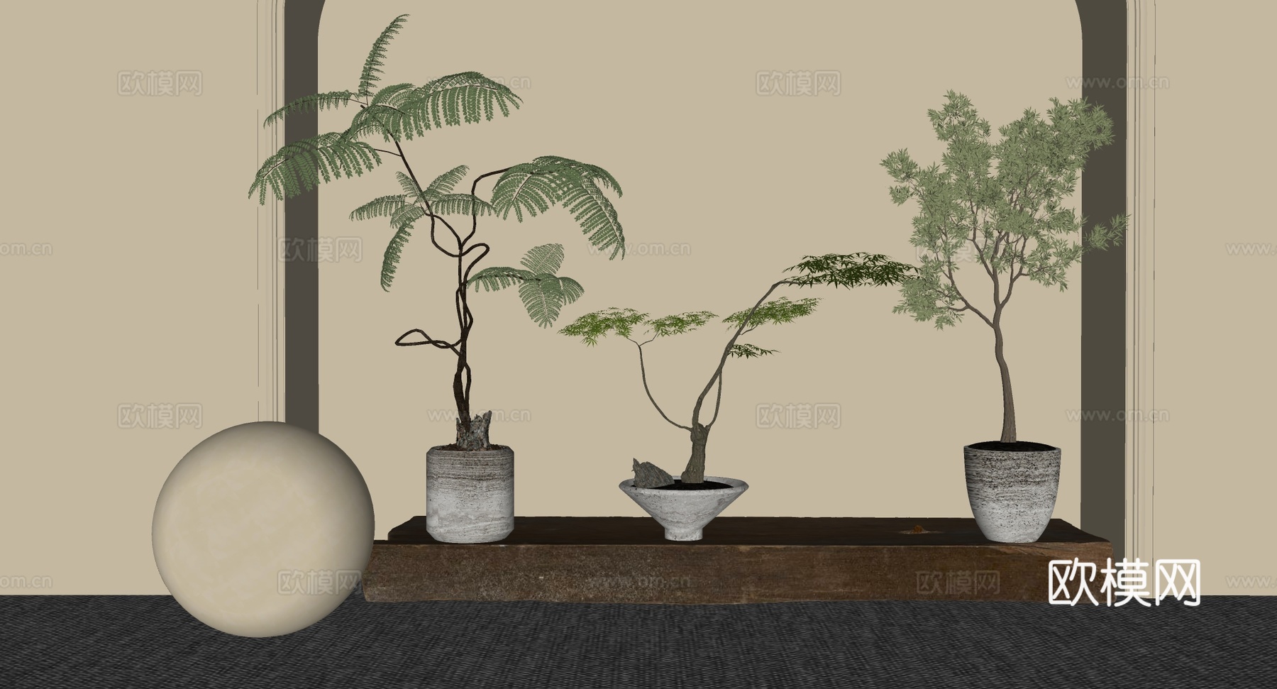 大型琴叶榕盆栽 仿真绿植 长方形实木纹理展示台 陈列台拍摄台su模型