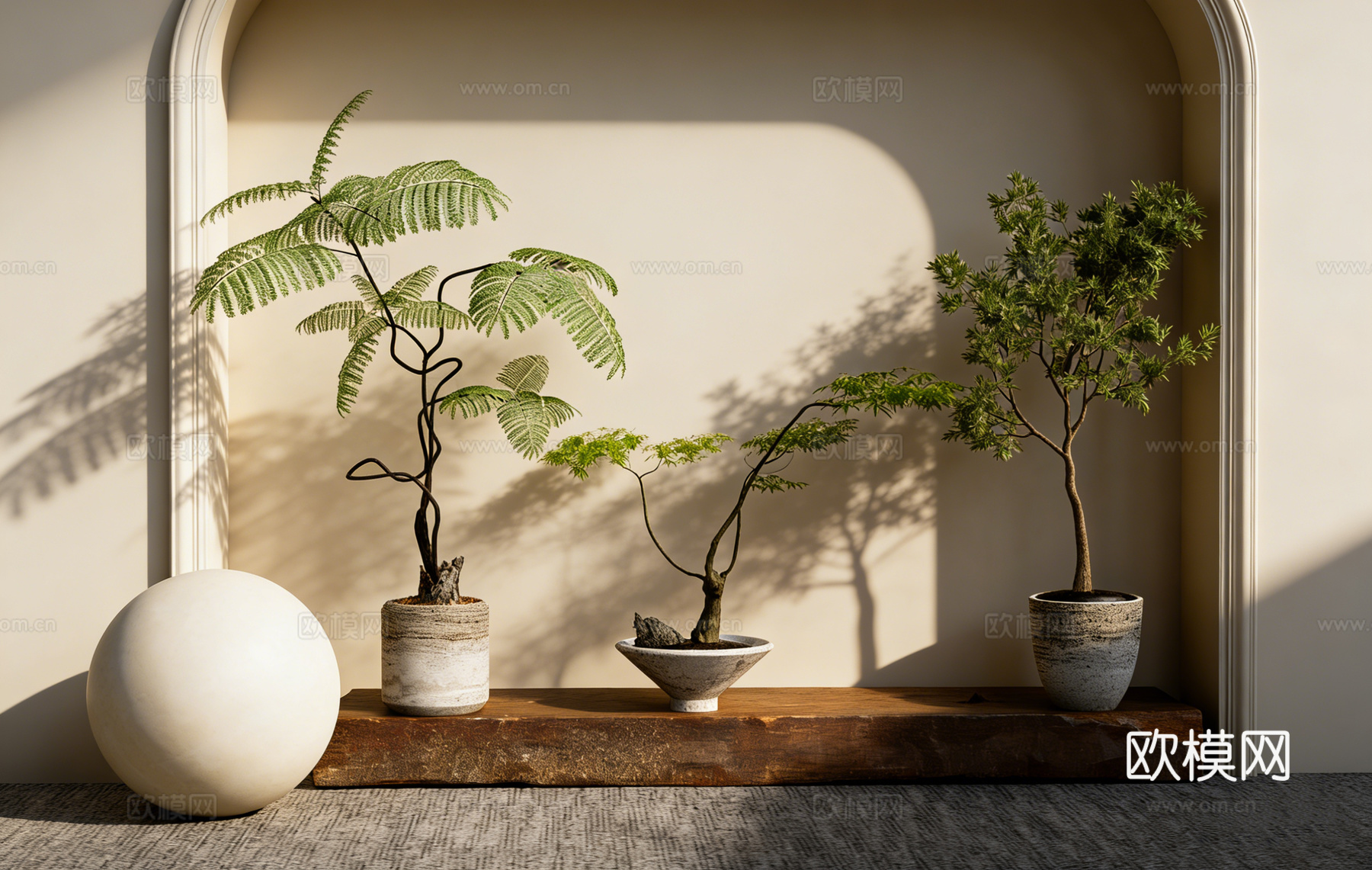 大型琴叶榕盆栽 仿真绿植 长方形实木纹理展示台 陈列台拍摄台su模型