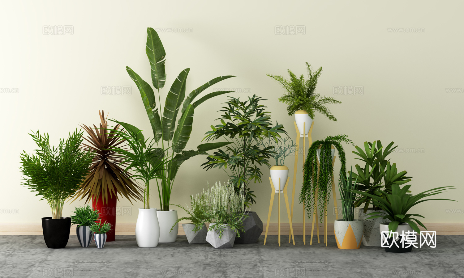 现代简约盆栽植物组合3d模型