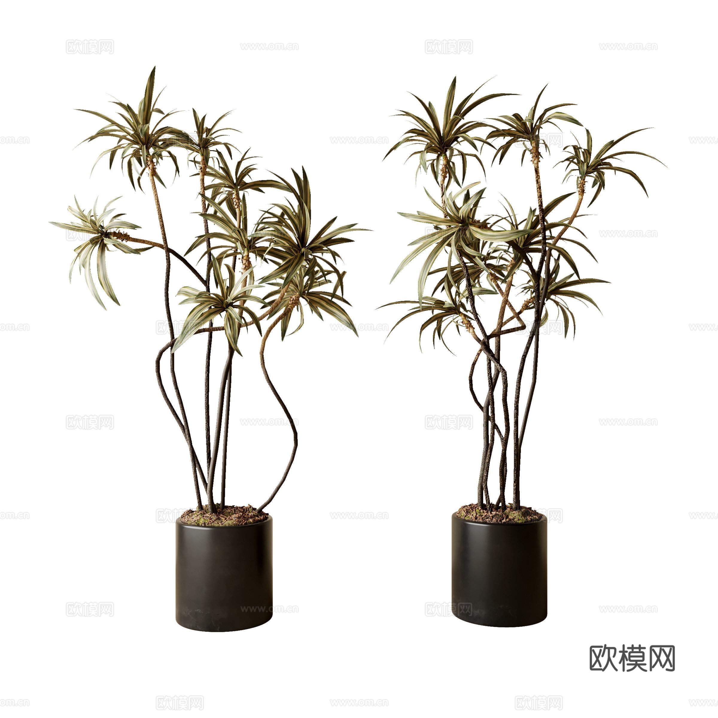 现代绿植盆栽su模型