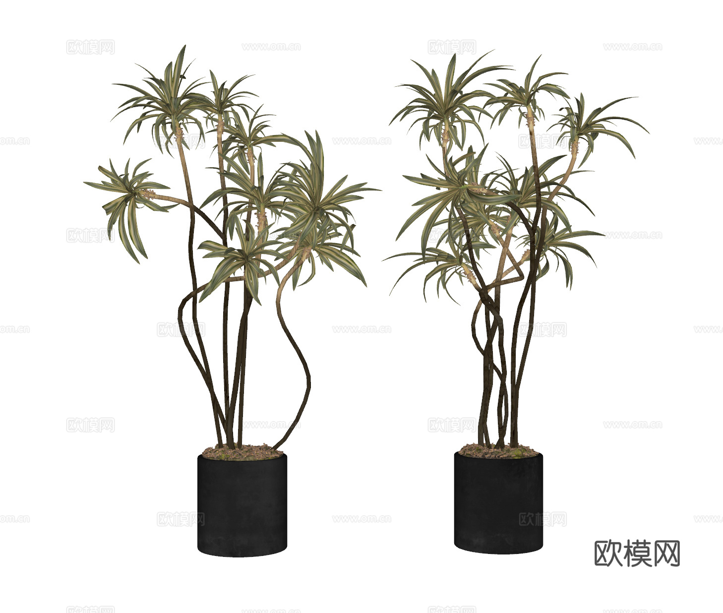 现代绿植盆栽su模型