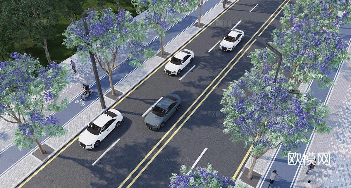现代道路景观 行道树 蓝花楹su模型