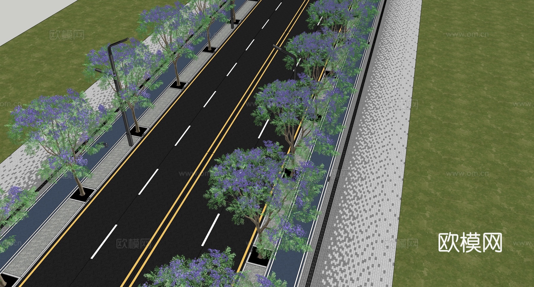 现代道路景观 行道树 蓝花楹su模型