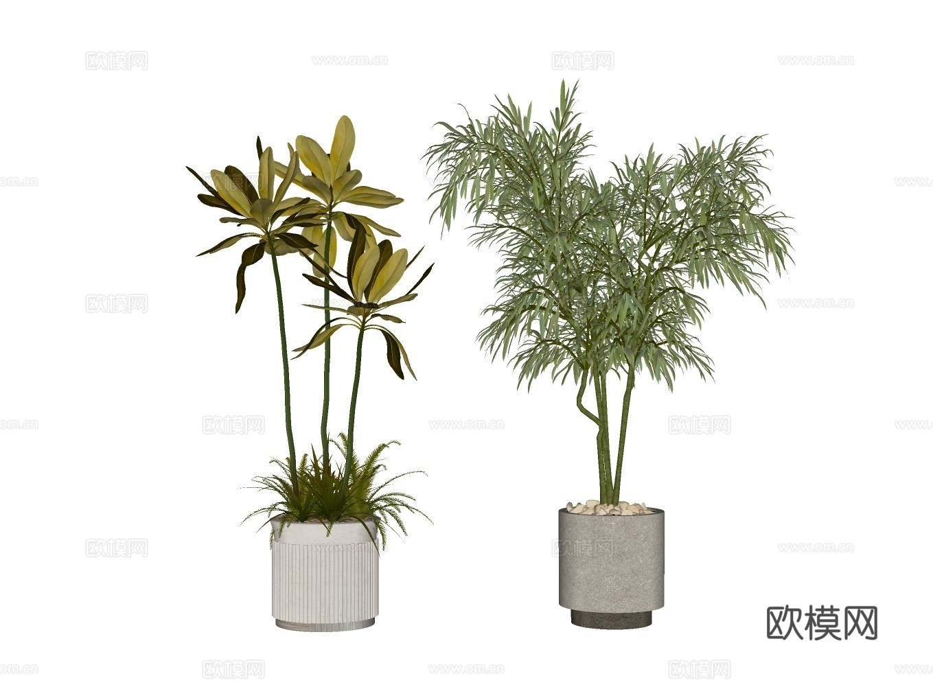 植物盆栽su模型