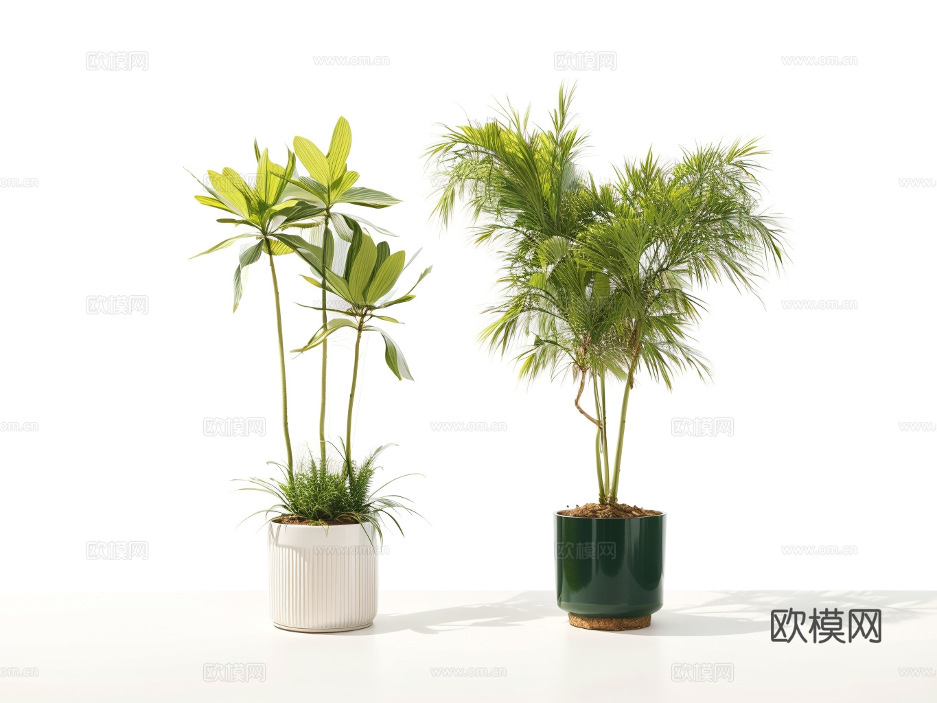 植物盆栽su模型