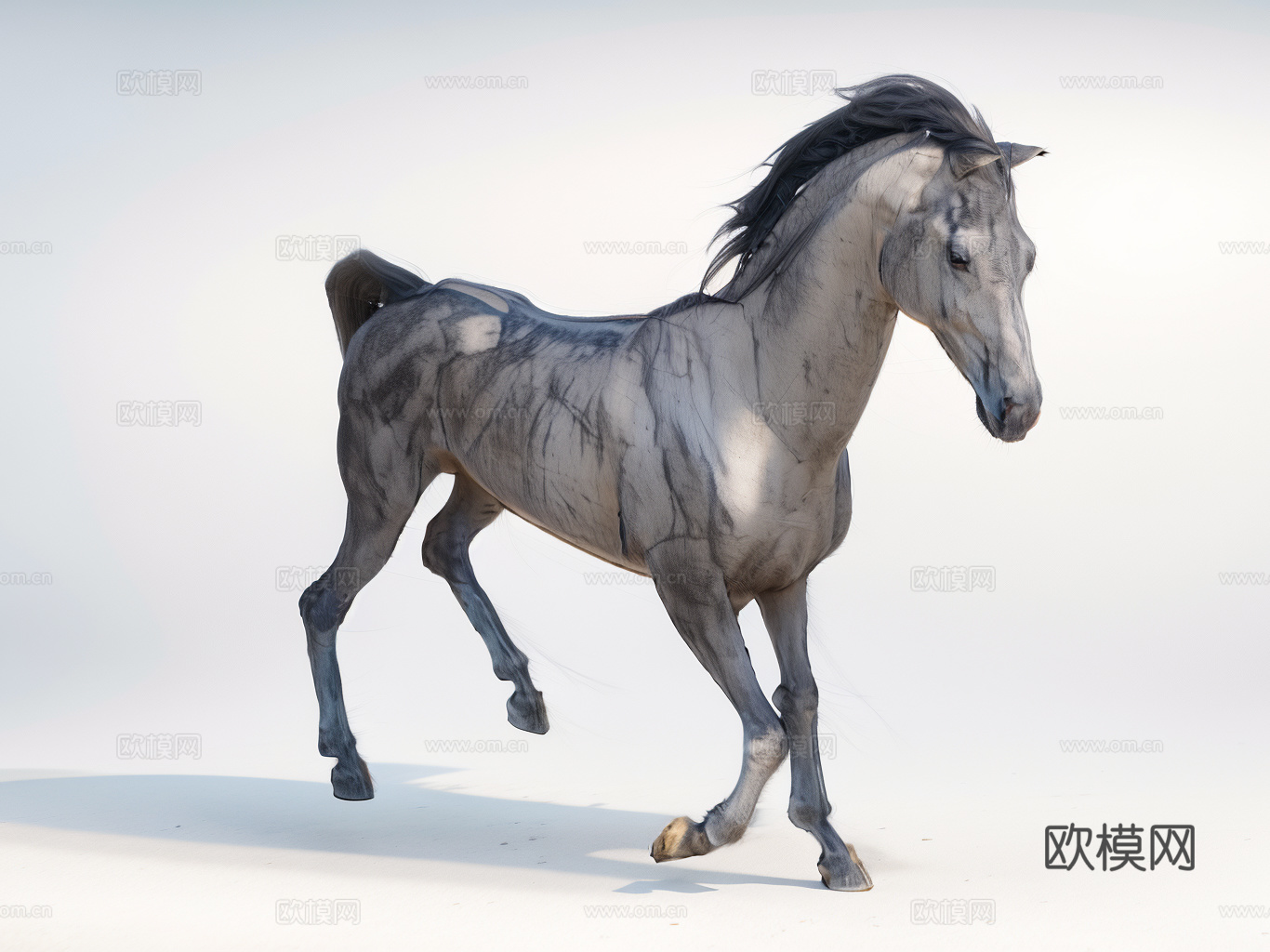 骏马su模型
