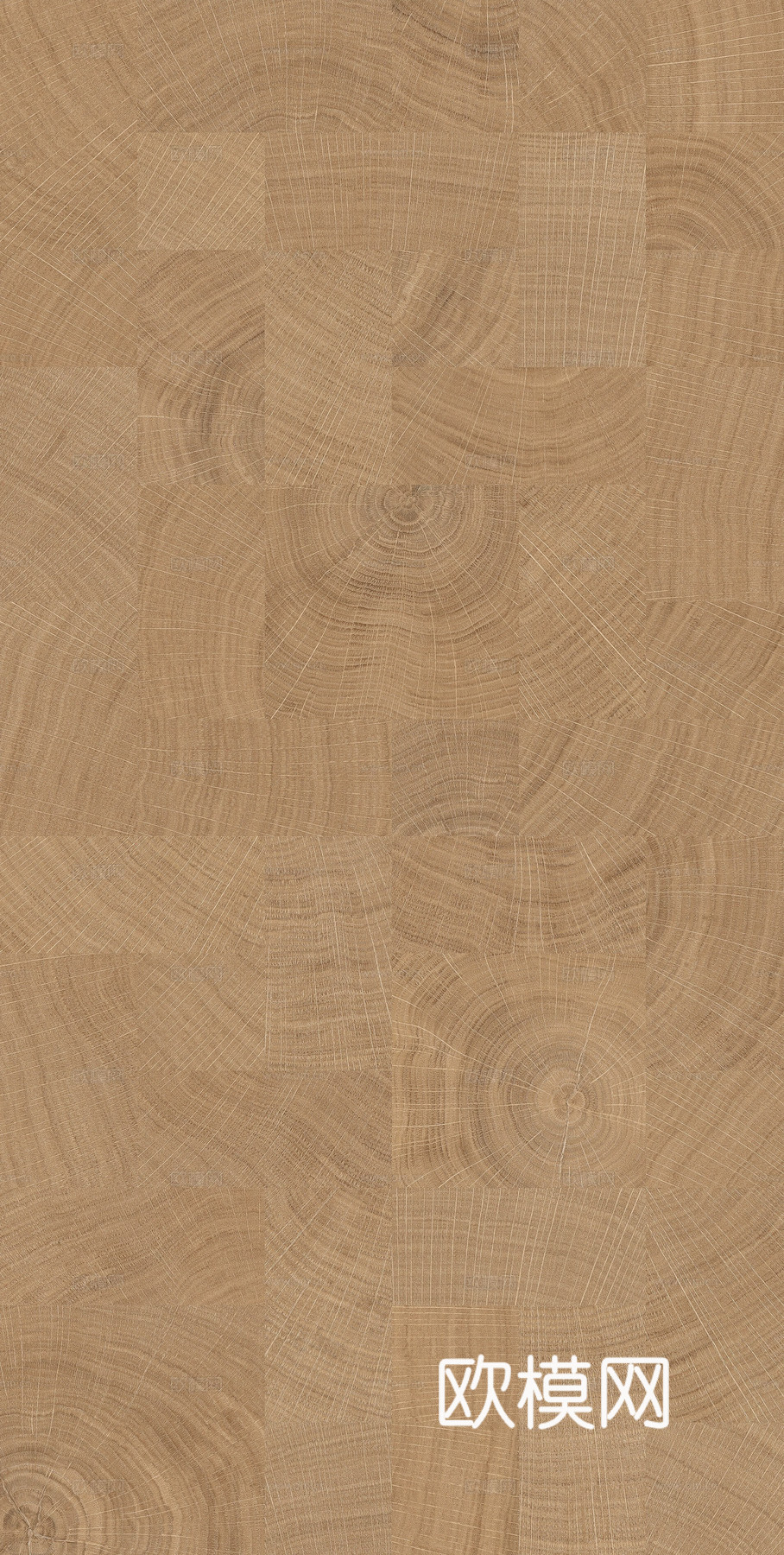 年轮木纹砖 法式木纹砖