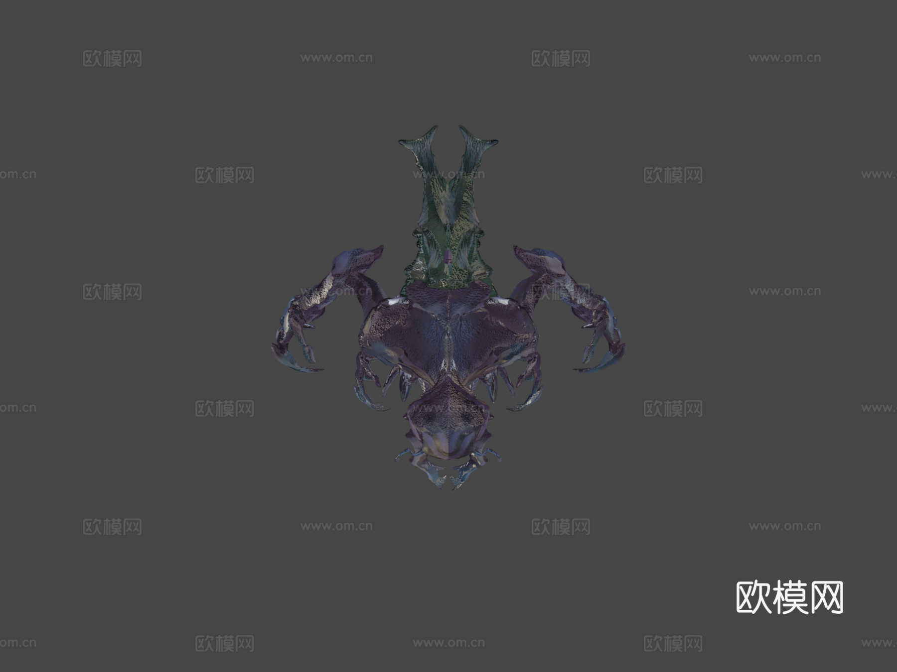 锹形甲虫su模型