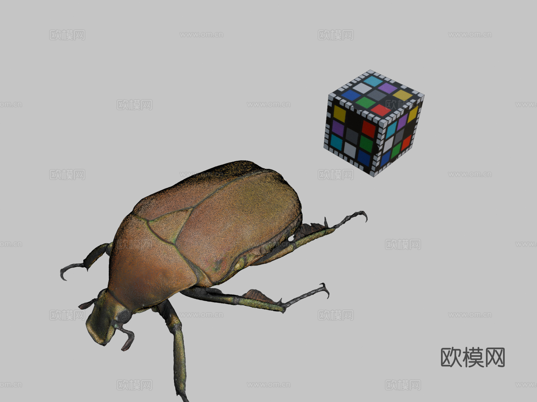 CC0日本金龟子无人机甲虫日本菱金龟su模型