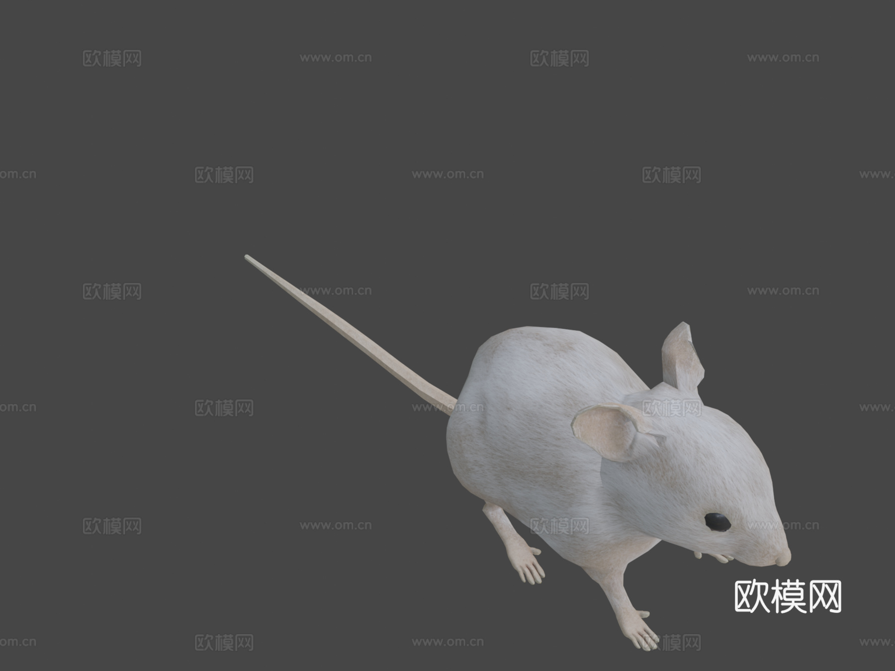 老鼠XGEN毛发系统多色写实风格su模型