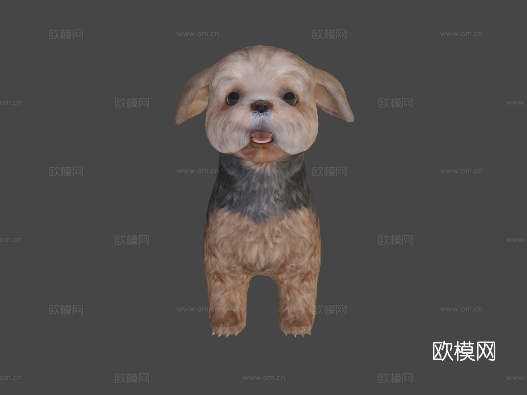 西施犬品种低多边形su模型