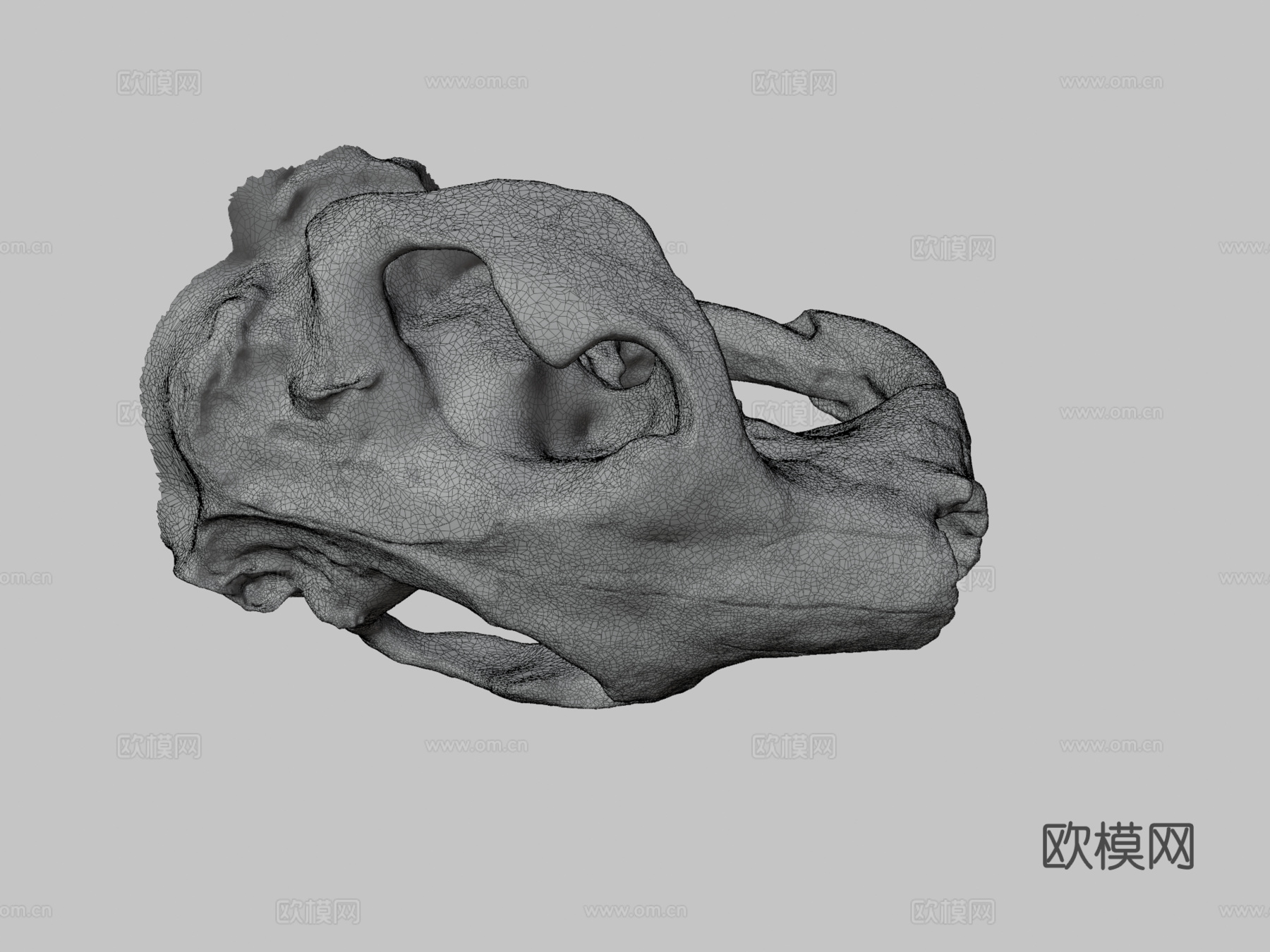 巨型河狸头骨su模型