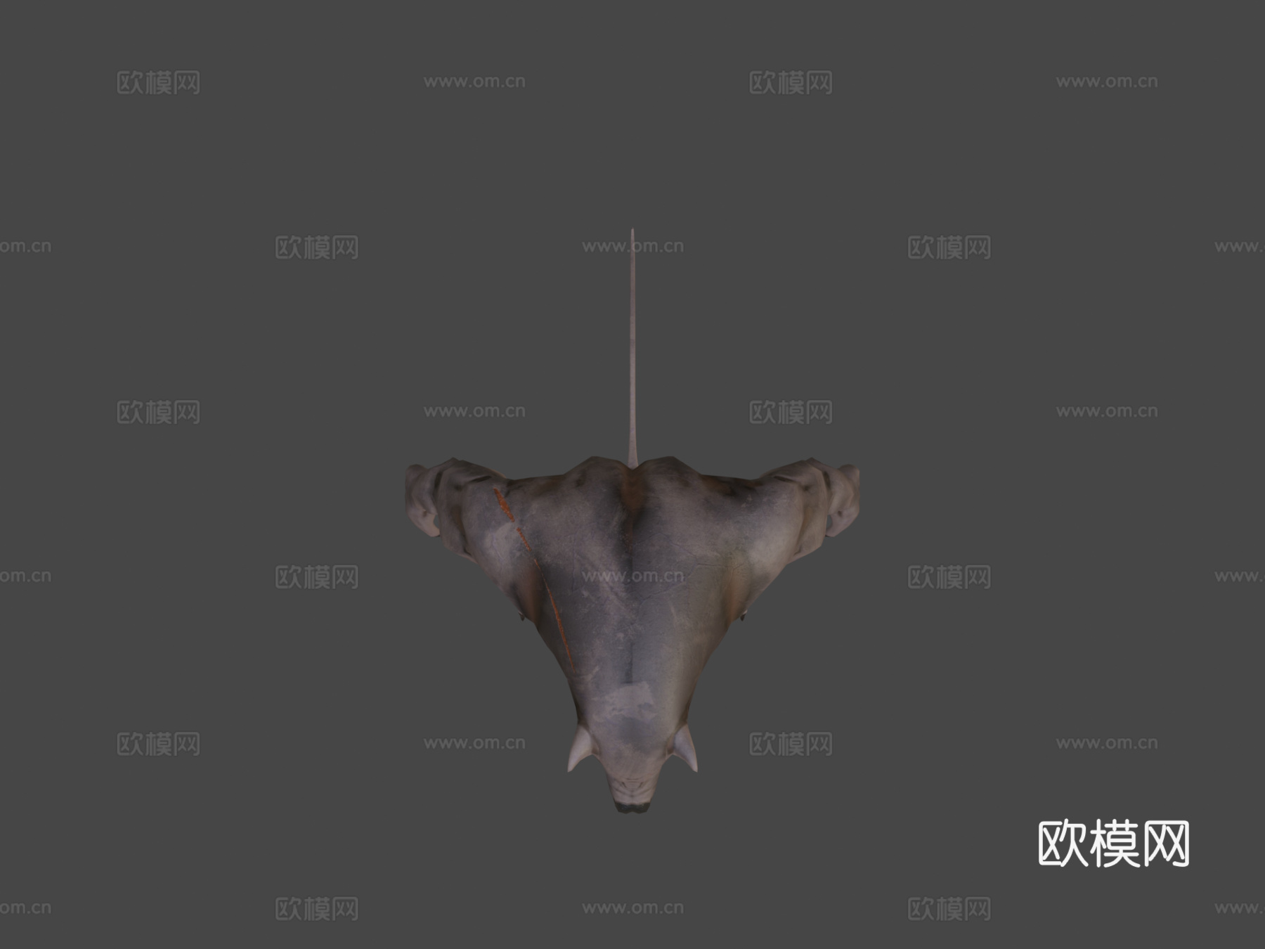 狼人无毛su模型