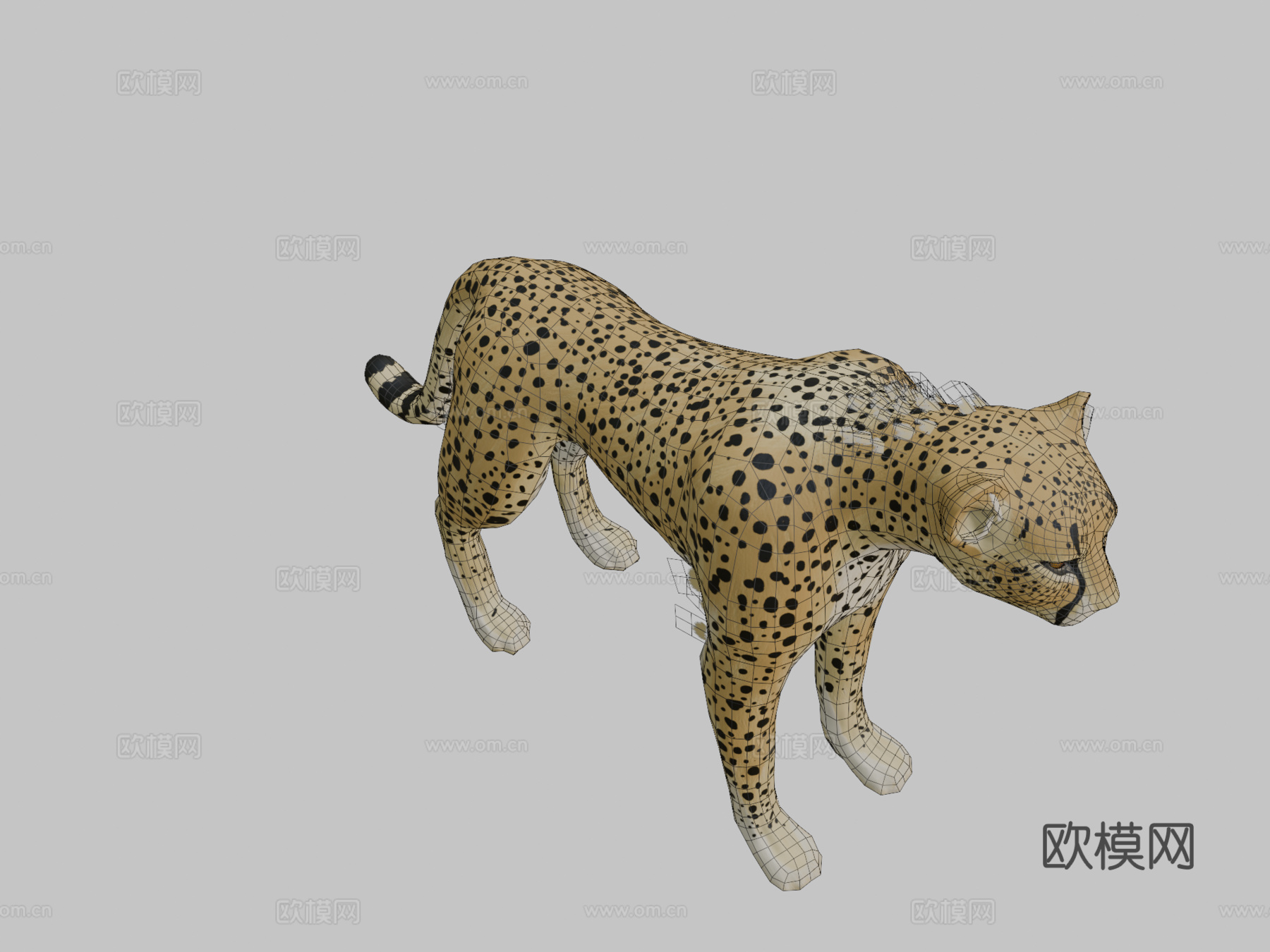 猎豹su模型