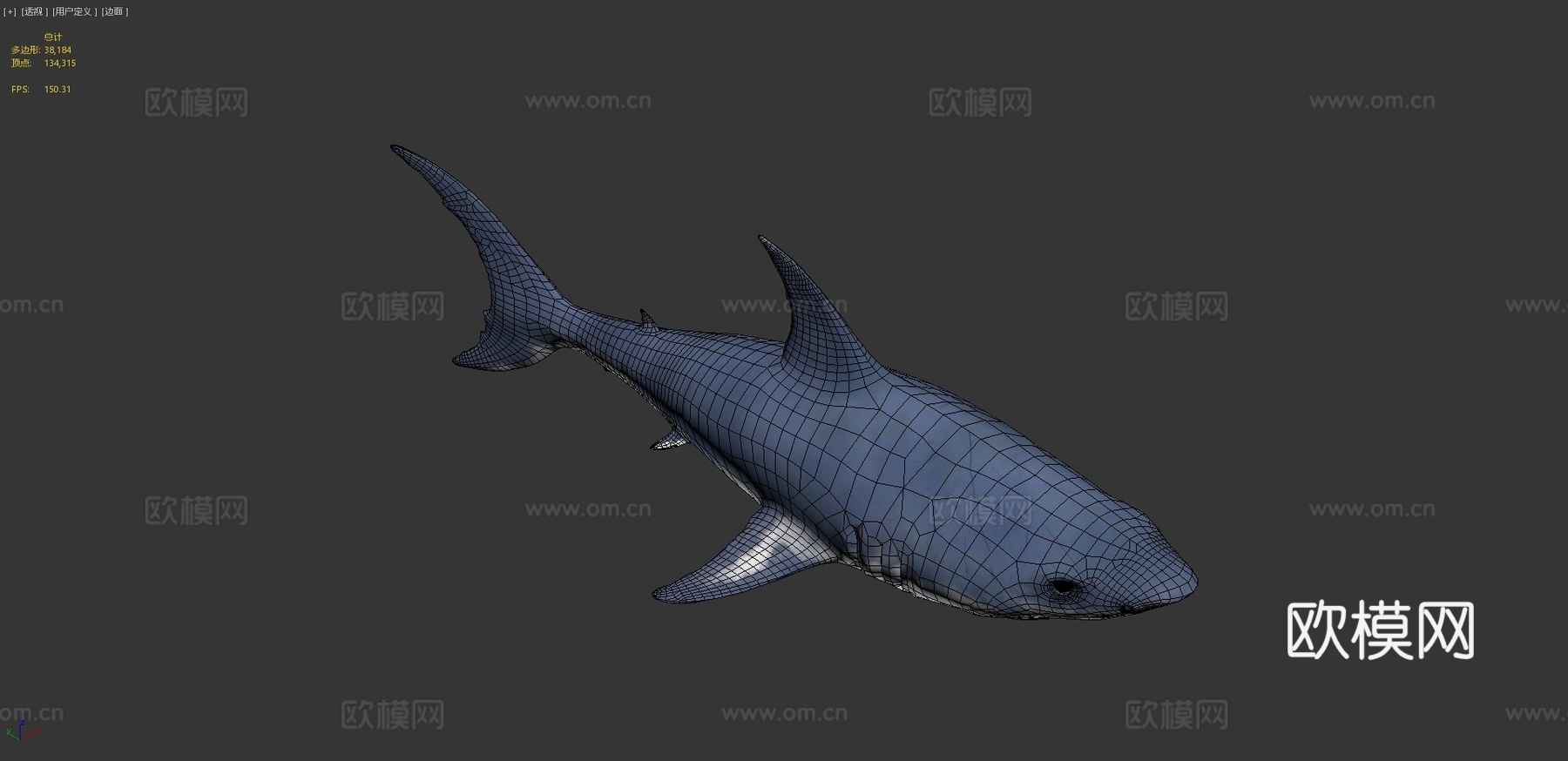 真实鲨鱼su模型