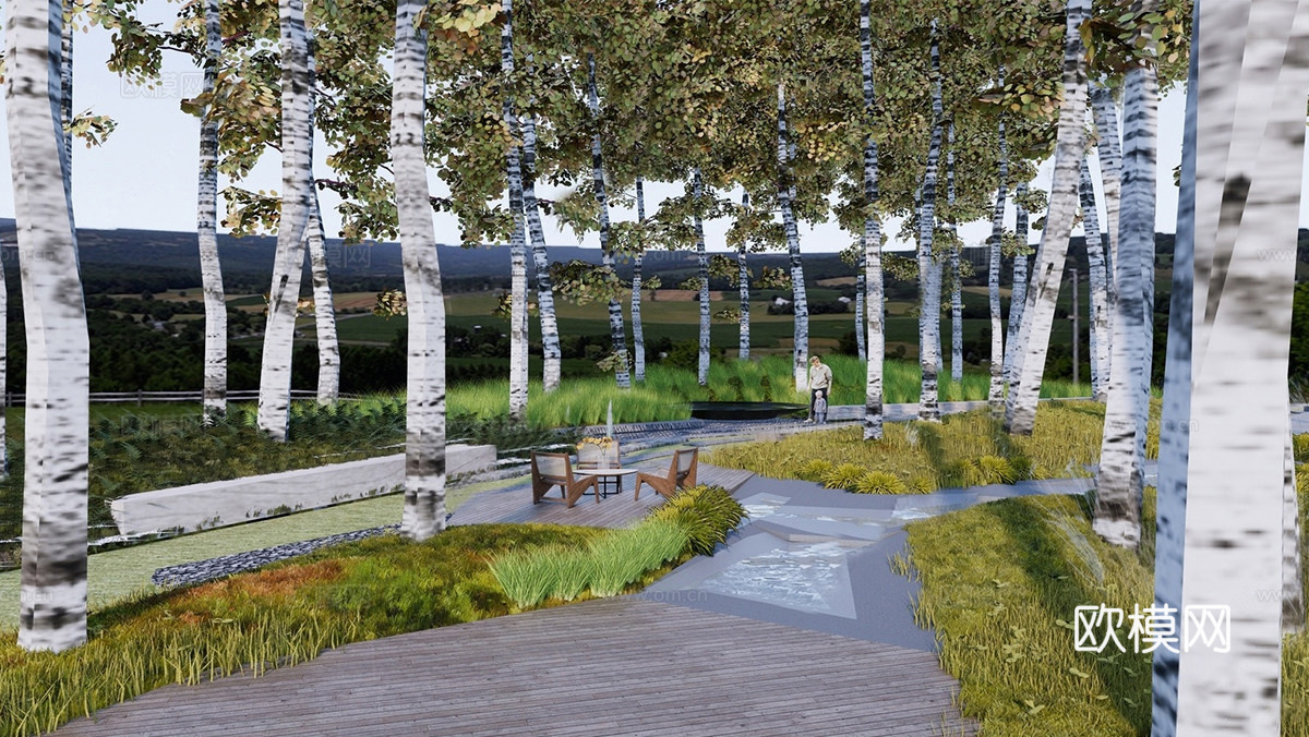 现代白桦林景观公园 林下景观su模型