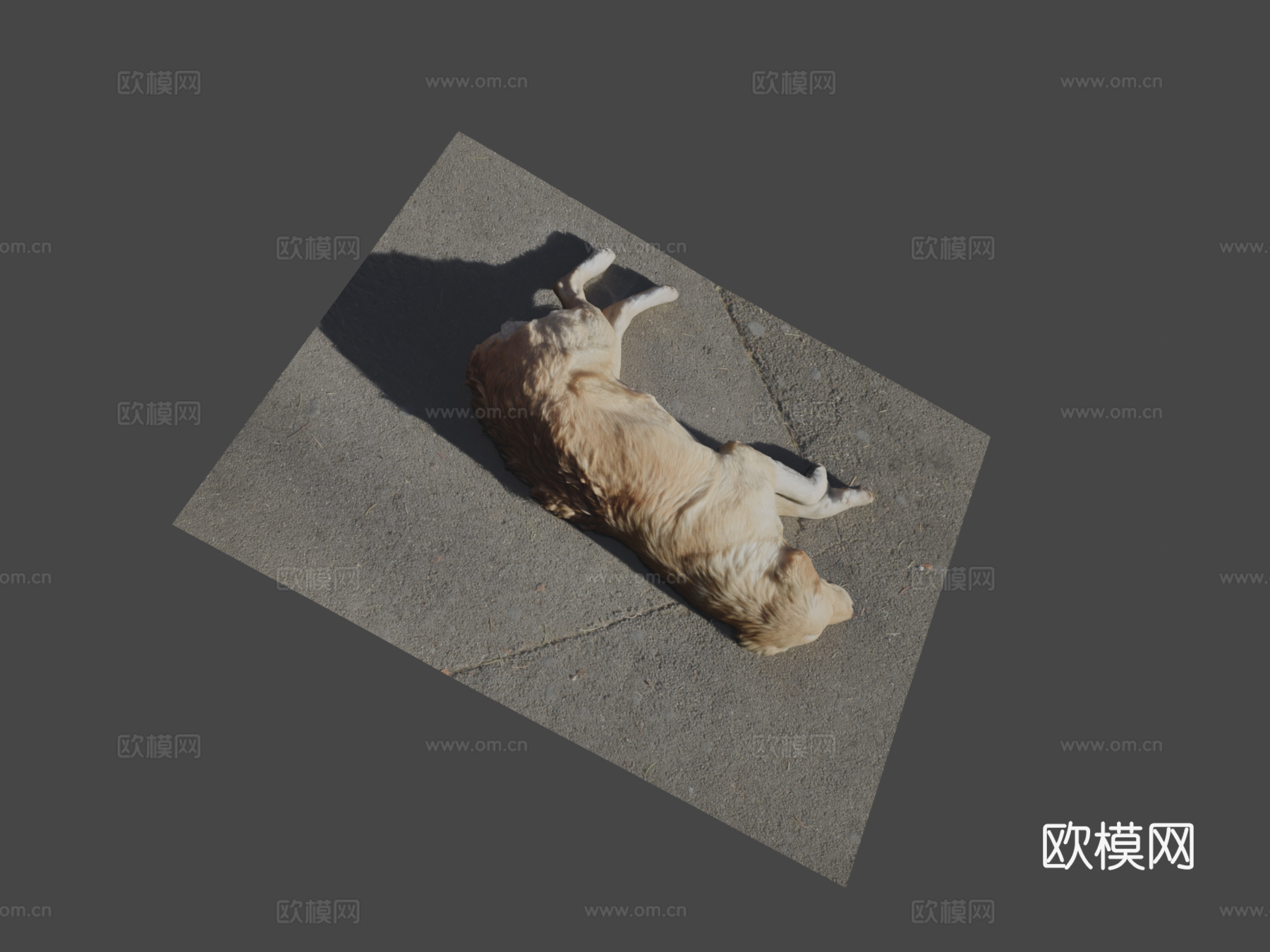 第比利斯流浪狗su模型