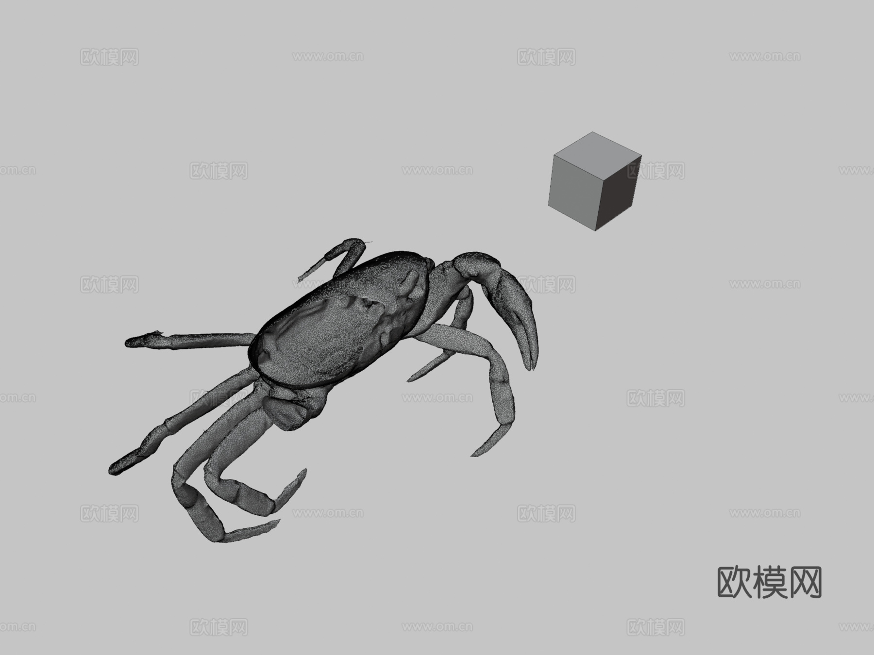 CC0泽蟹日本淡水蟹su模型