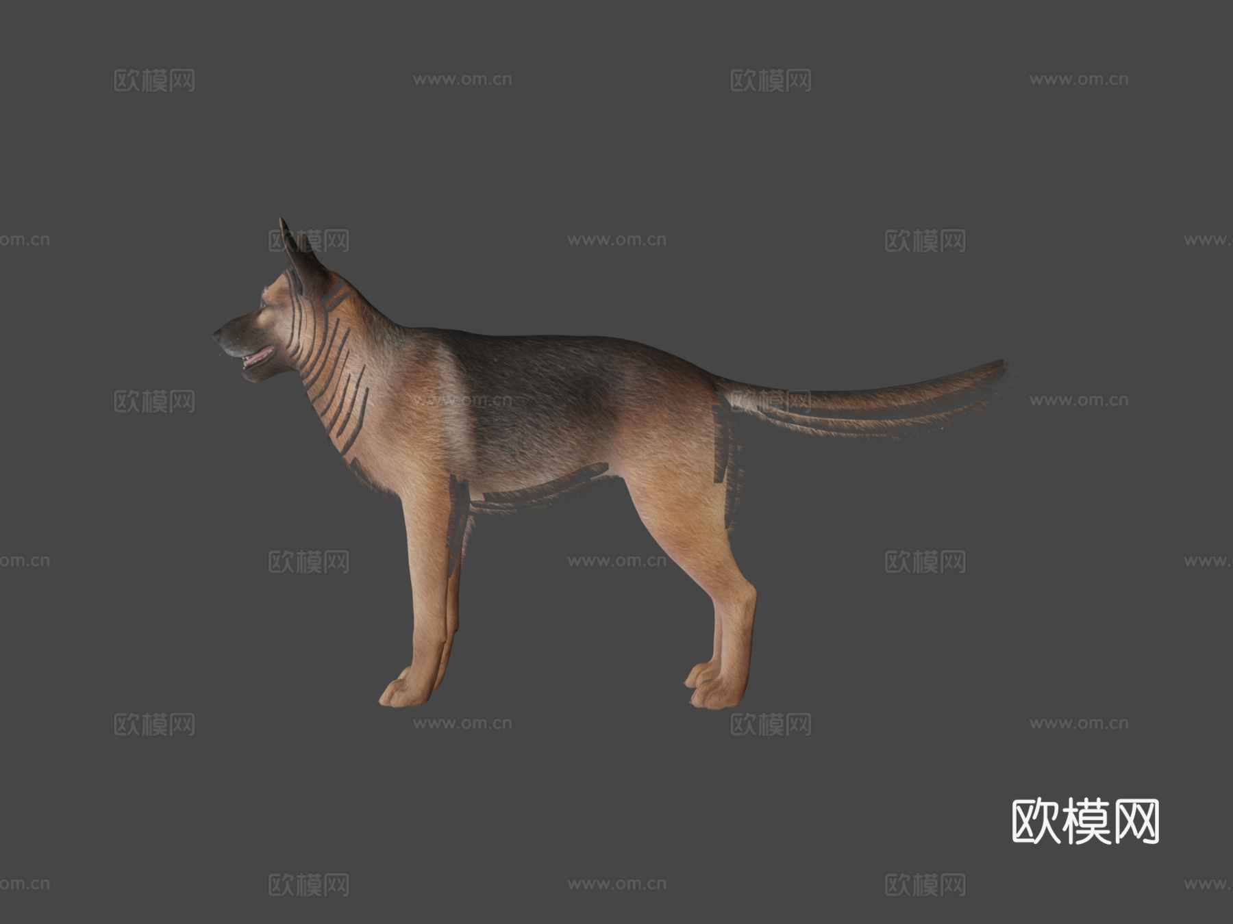 狗牧羊犬v2su模型