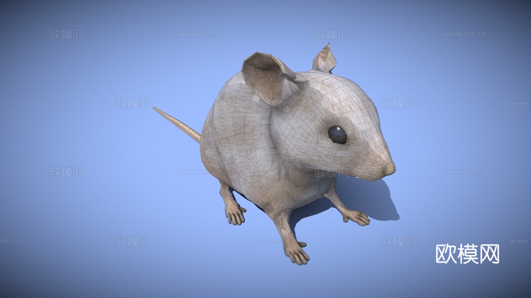 老鼠XGEN毛发系统多色写实风格su模型