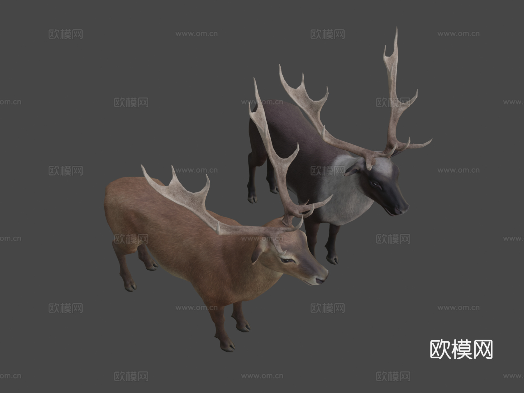 鹿纹理测试su模型