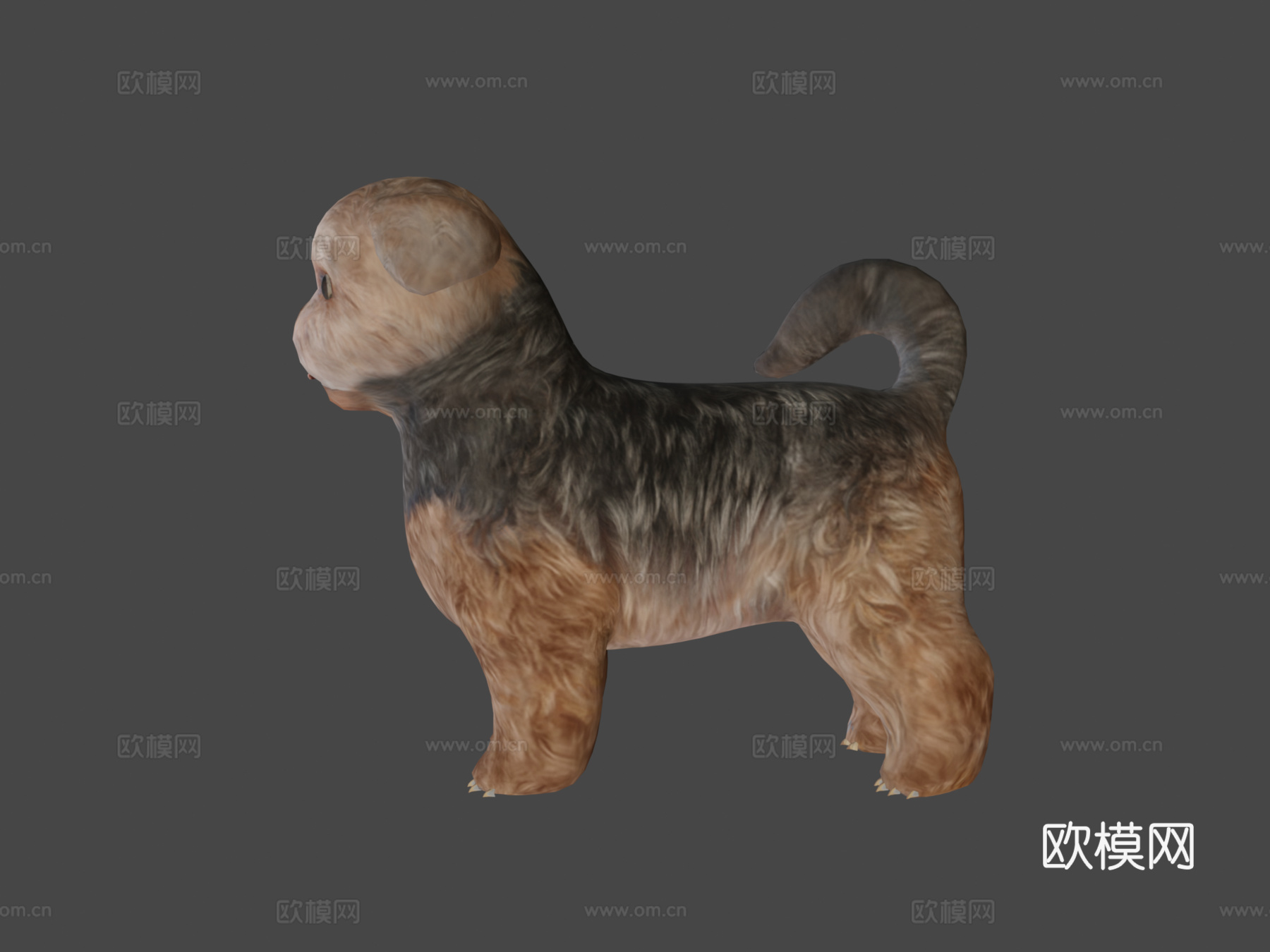 西施犬品种低多边形su模型