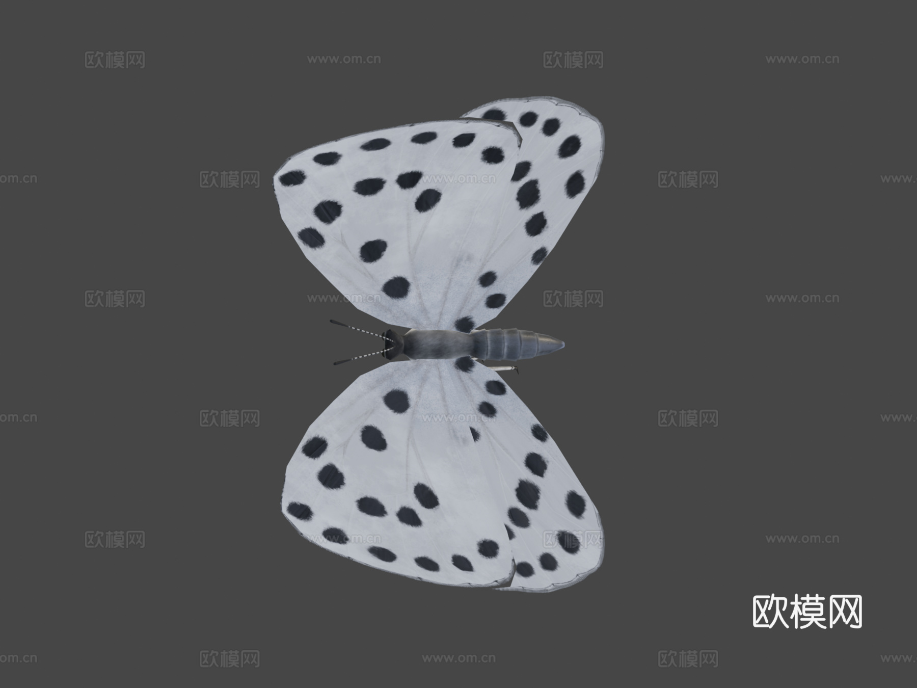 大虎斑蝶绑定su模型