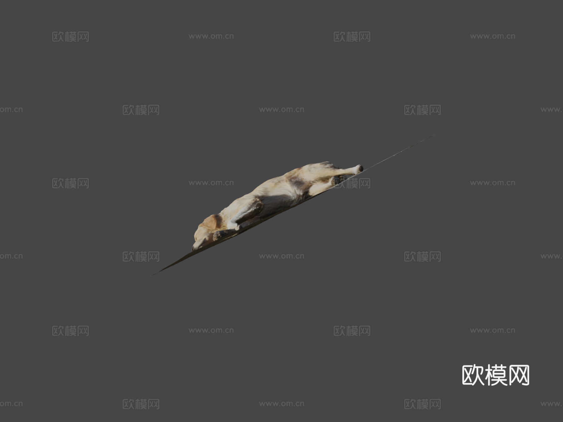 第比利斯流浪狗su模型