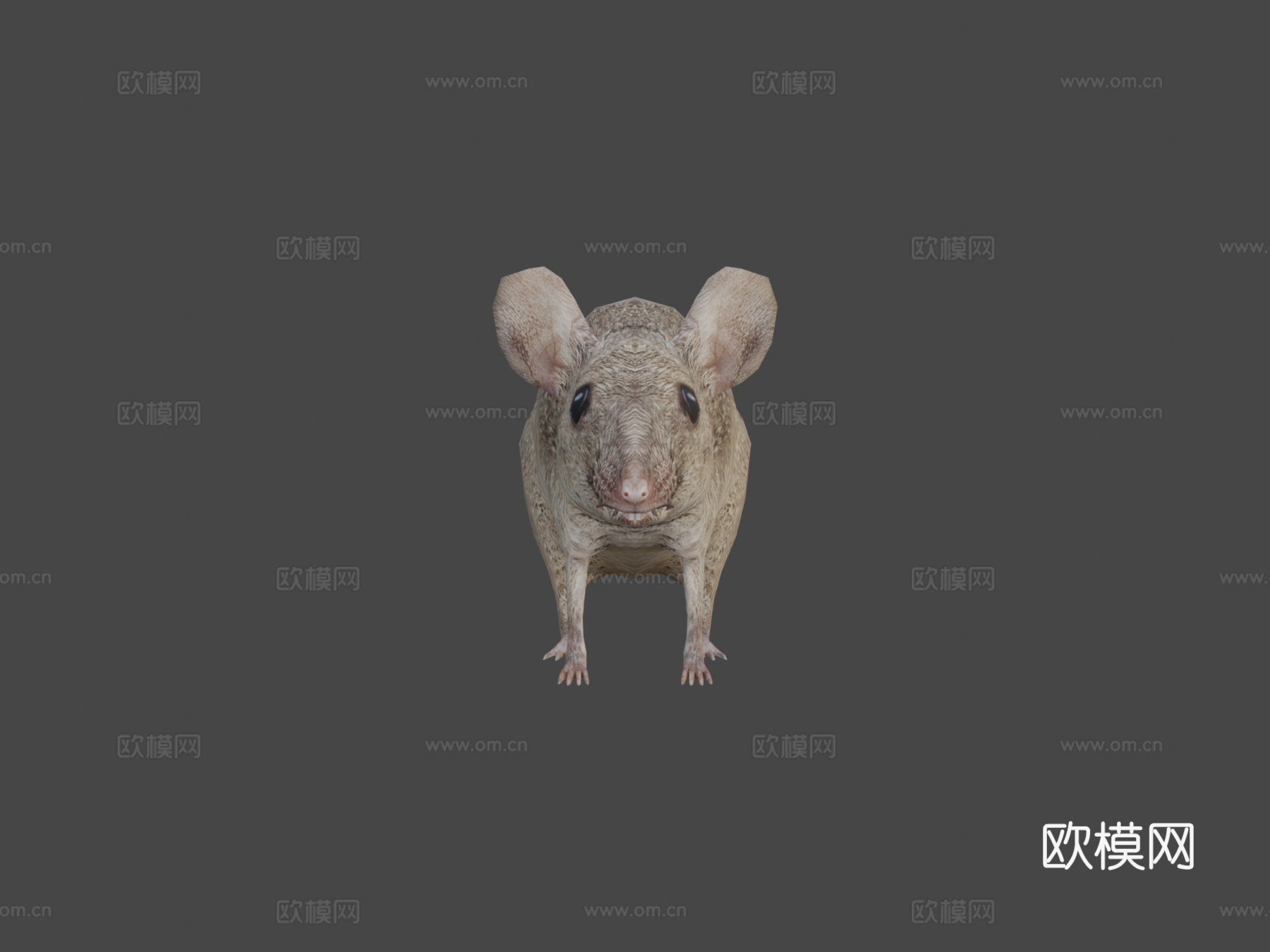 RT鸟类与小动物老鼠su模型