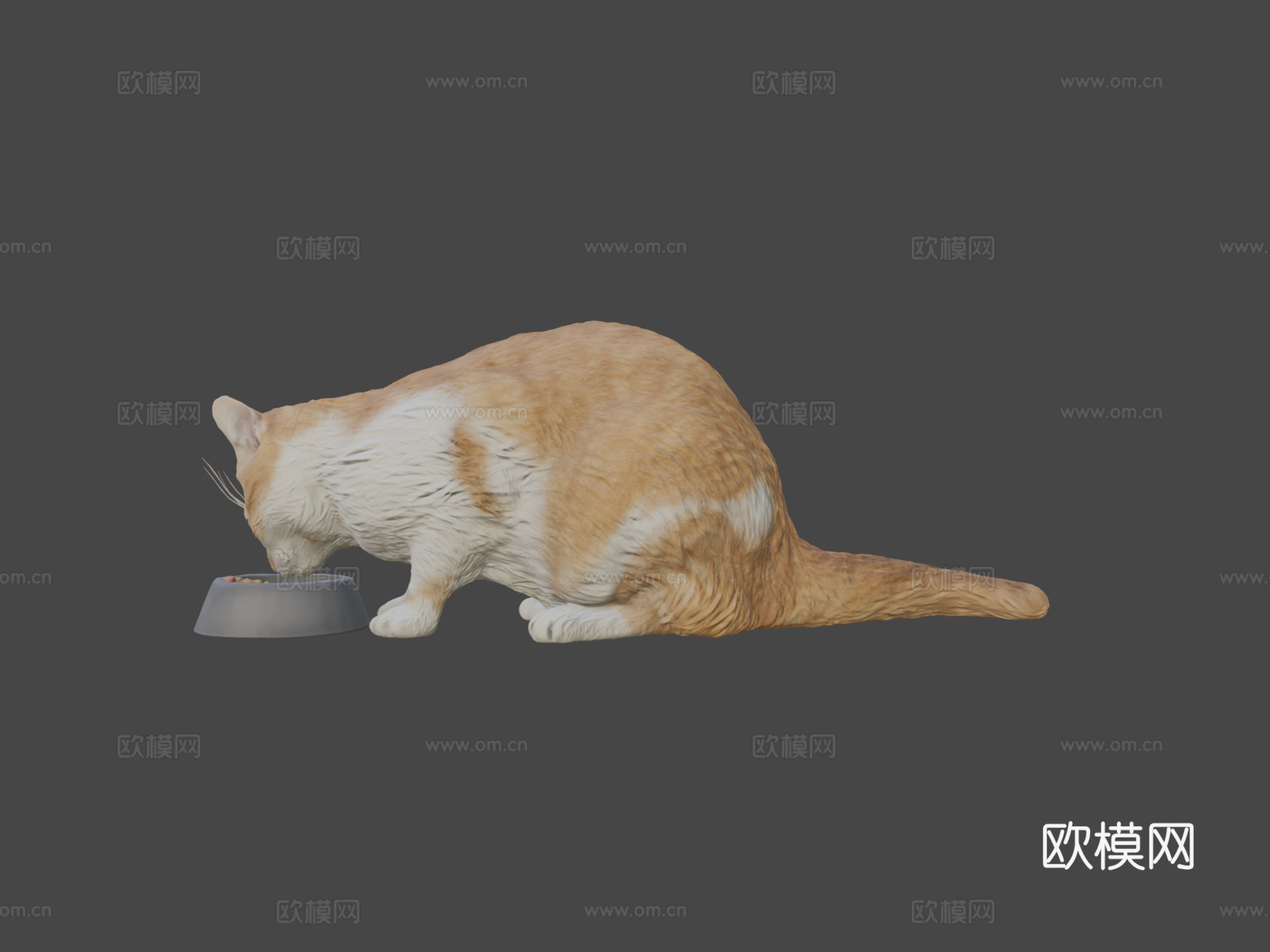 进食的猫12su模型
