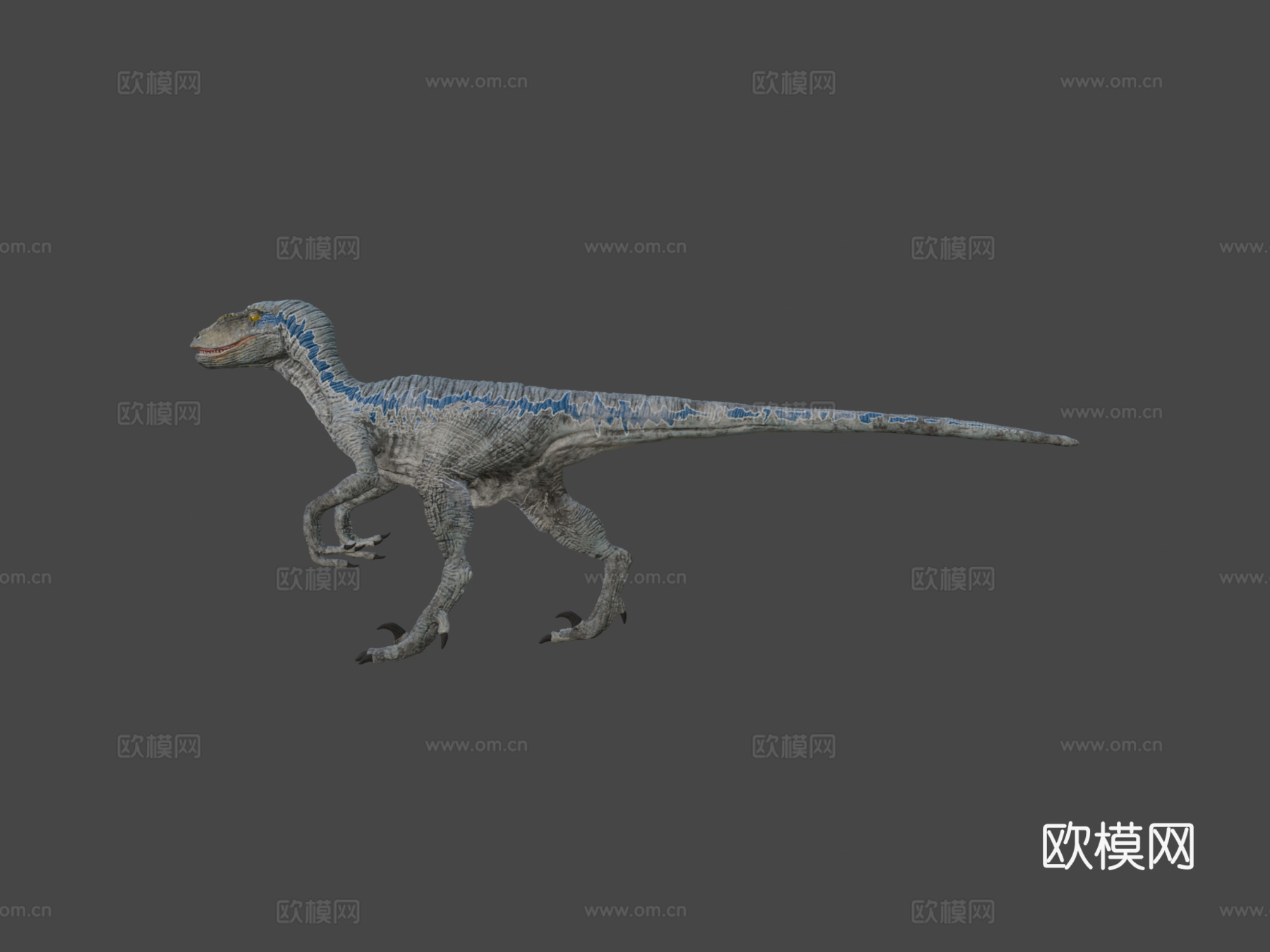 蓝色行走循环su模型下载（渲染图6）