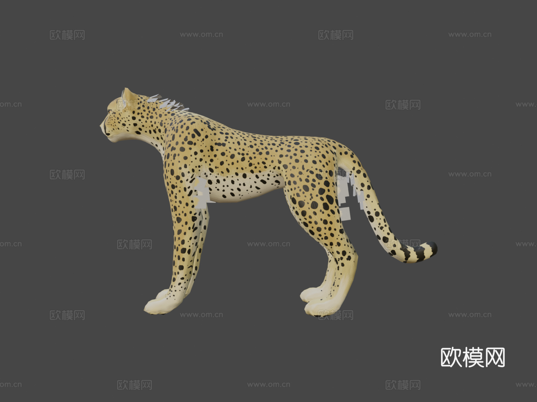 猎豹su模型