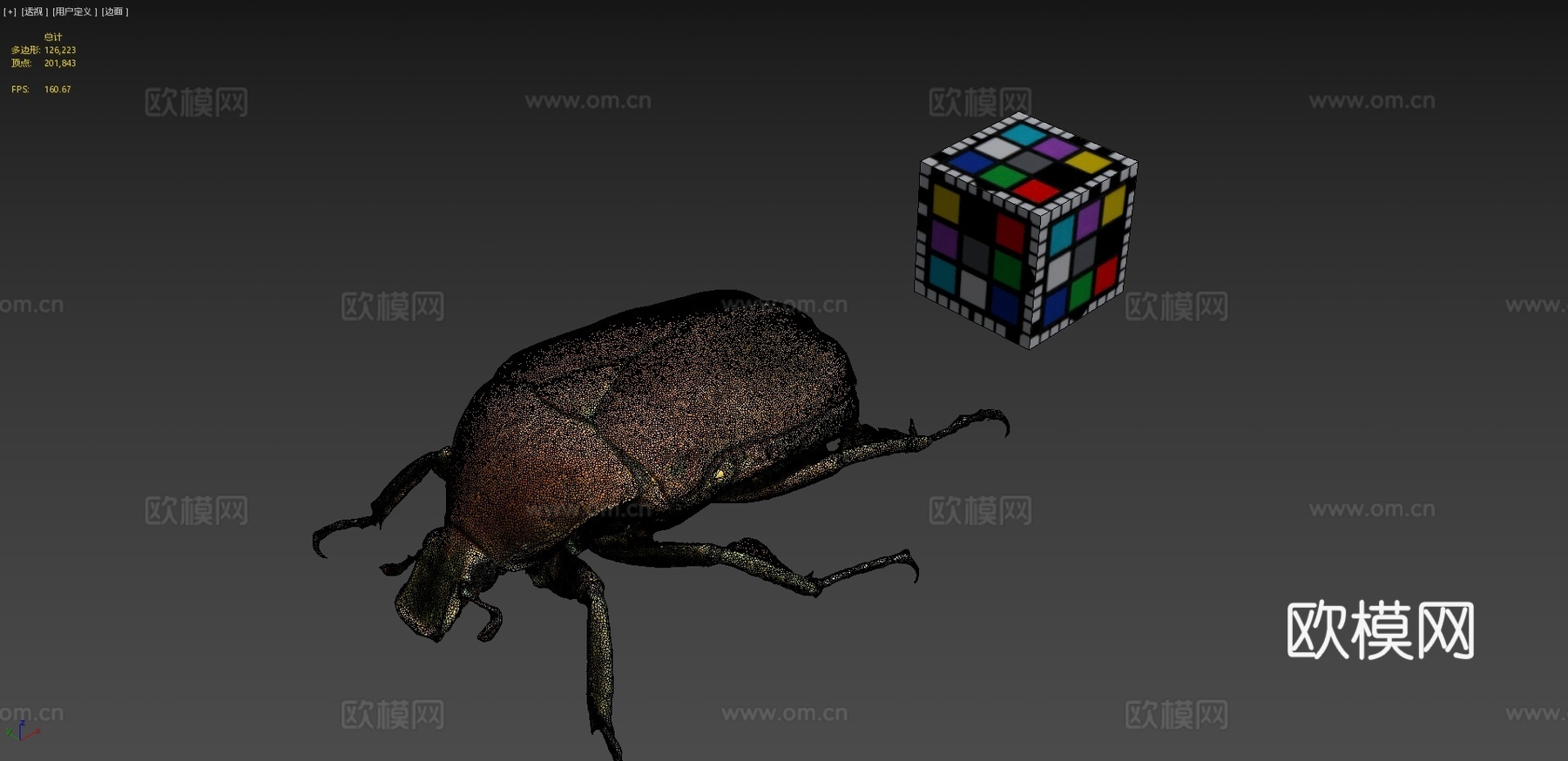 CC0日本金龟子无人机甲虫日本菱金龟su模型