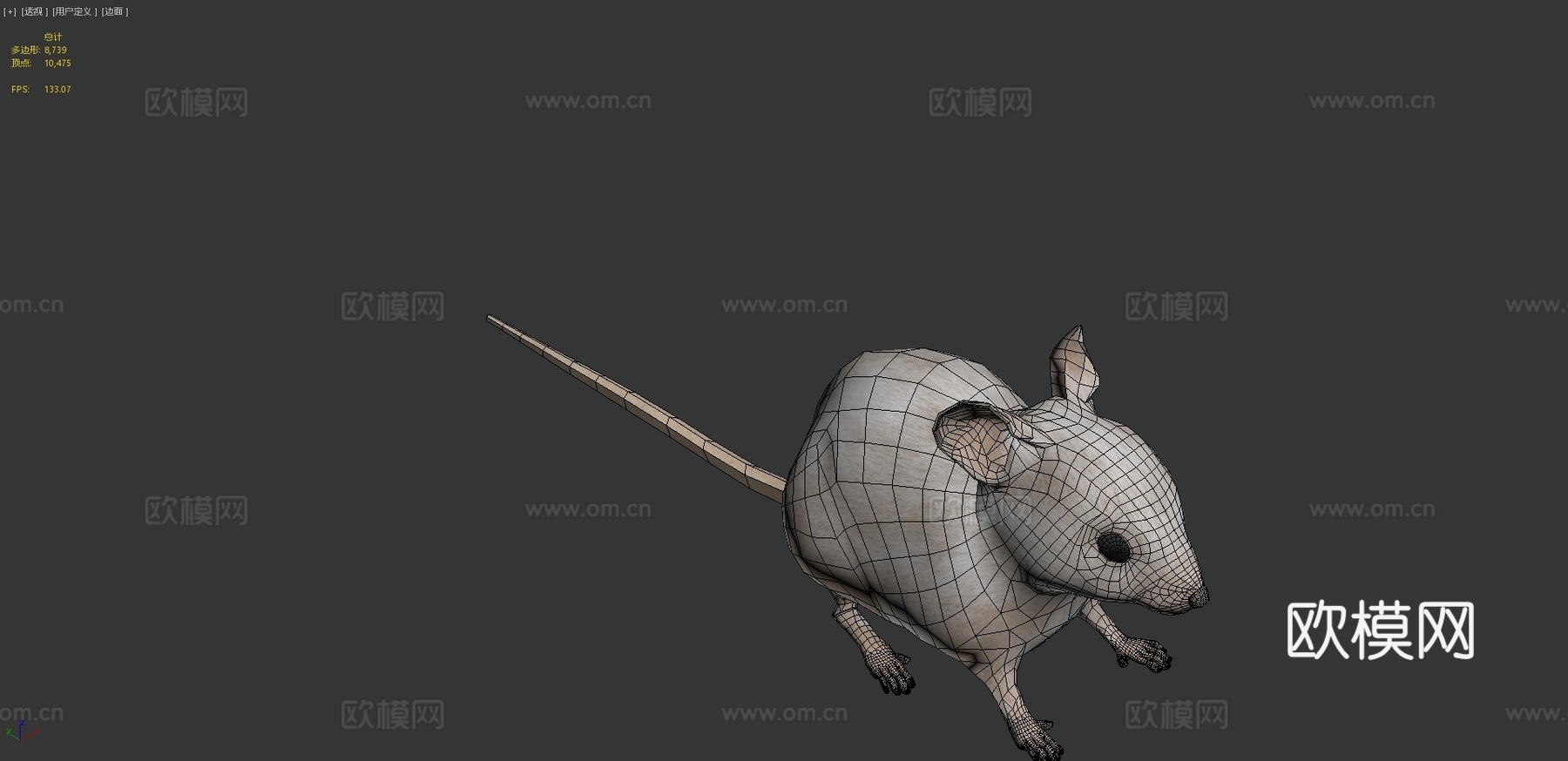 老鼠XGEN毛发系统多色写实风格su模型