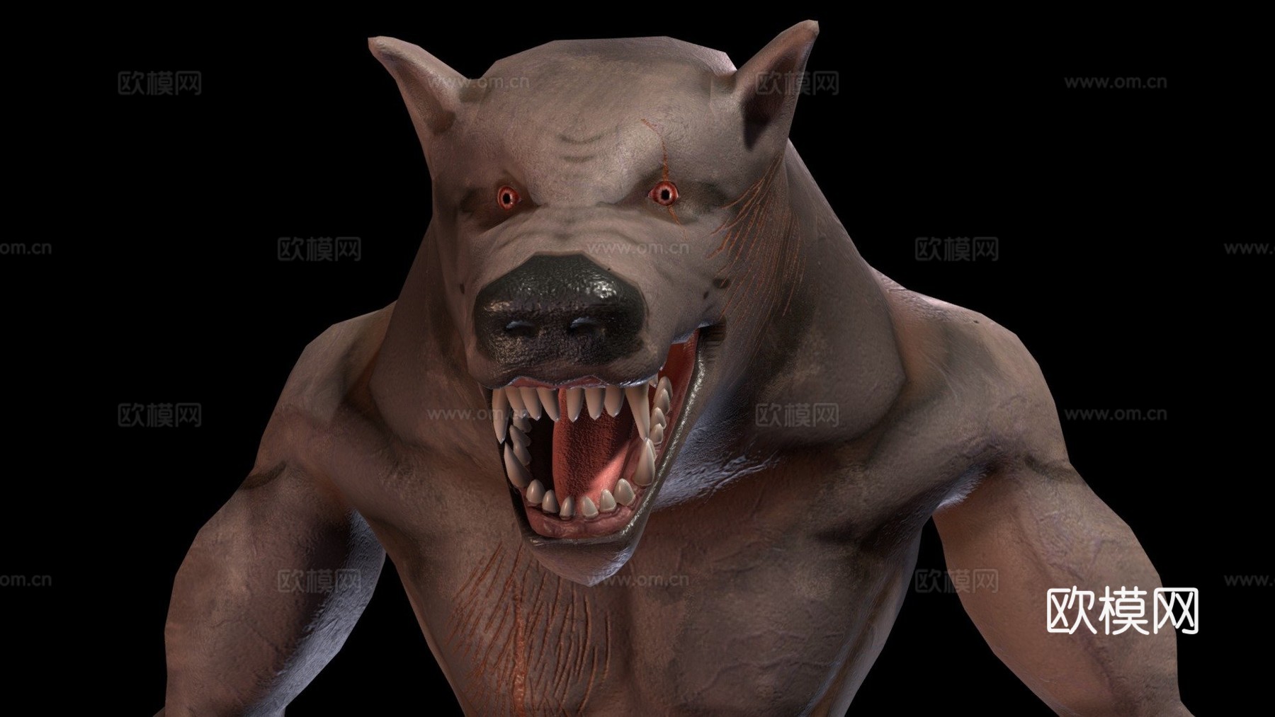 狼人无毛su模型