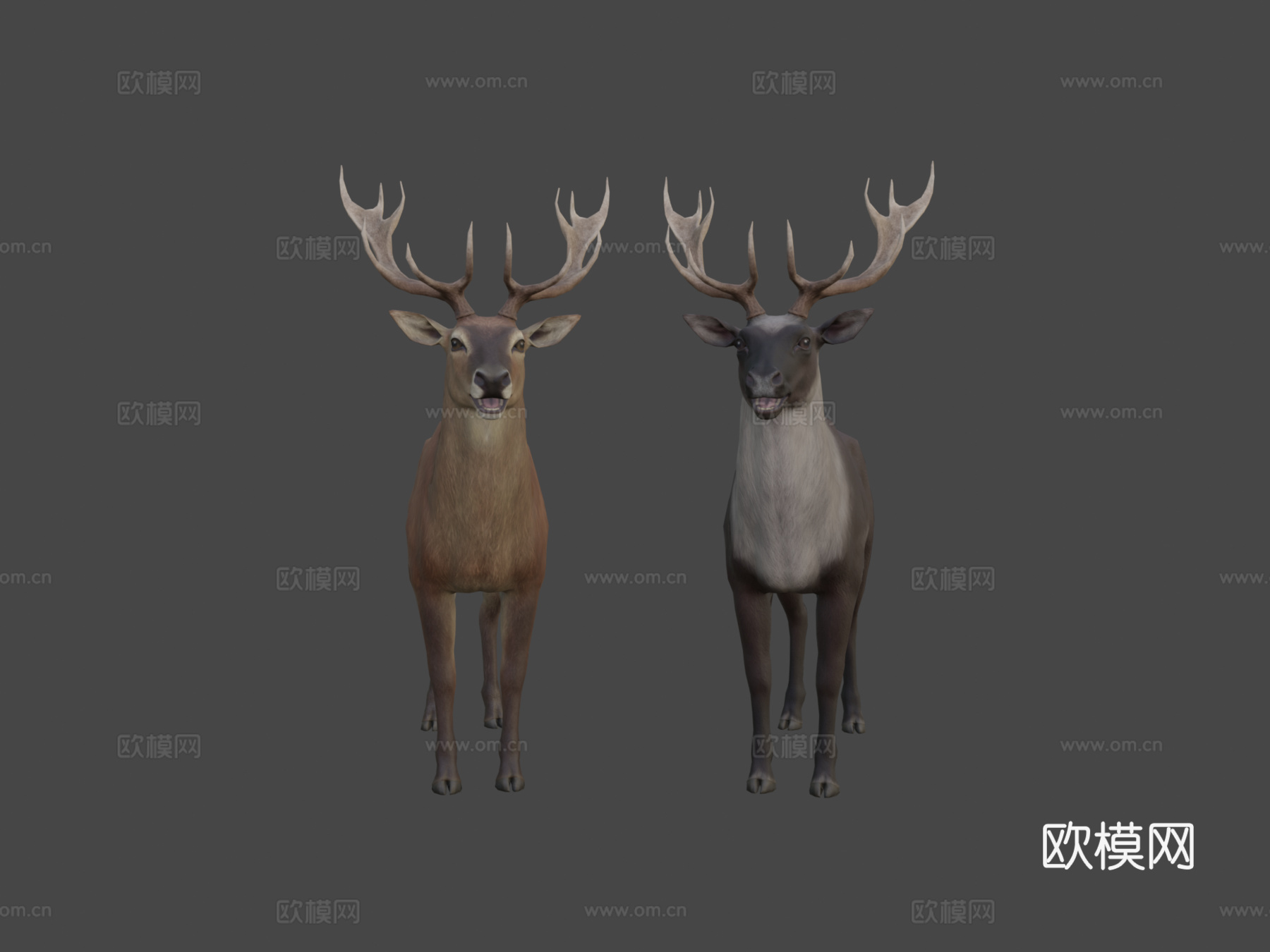 鹿纹理测试su模型