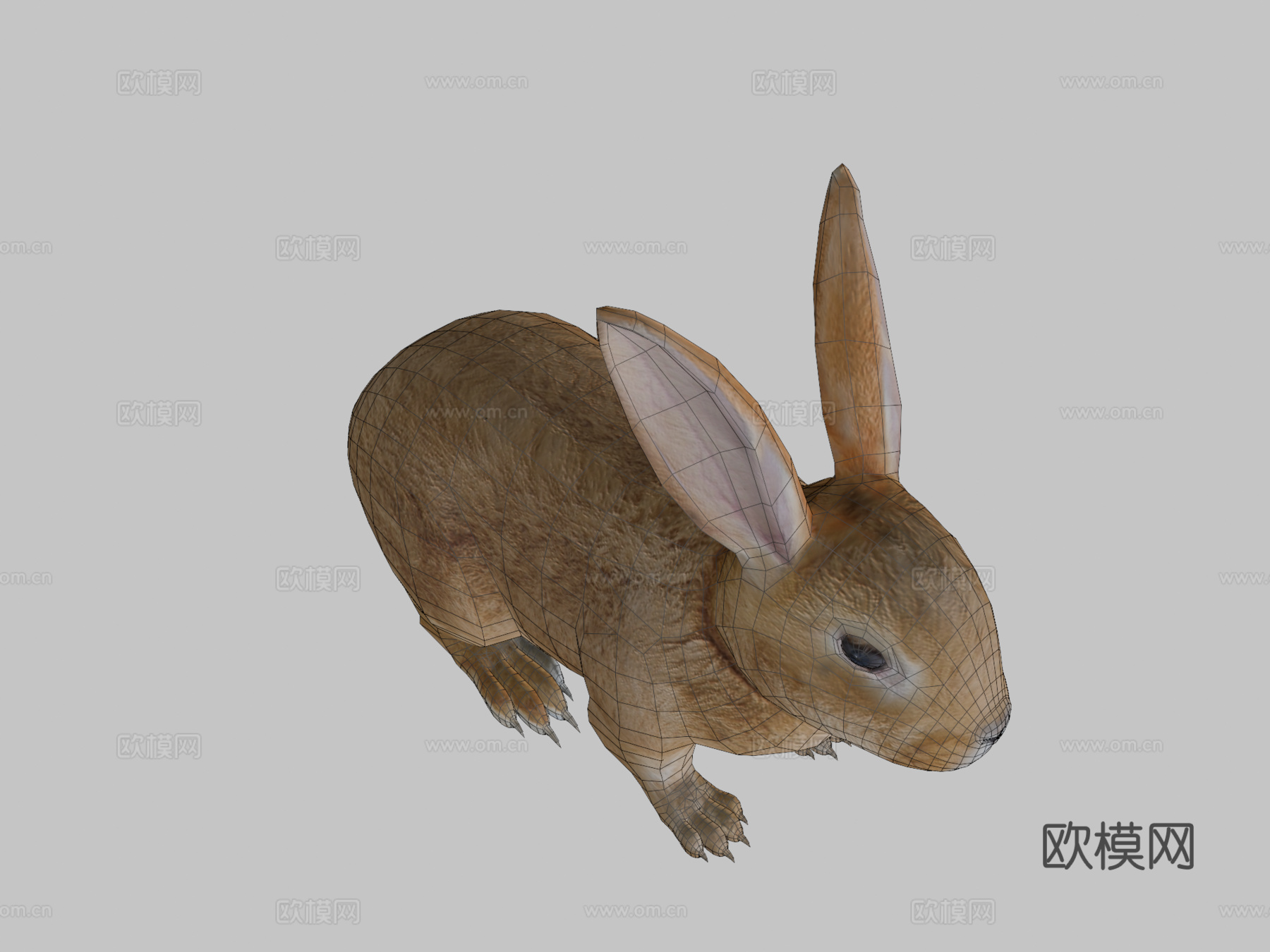 棕色小兔兔低多边形su模型